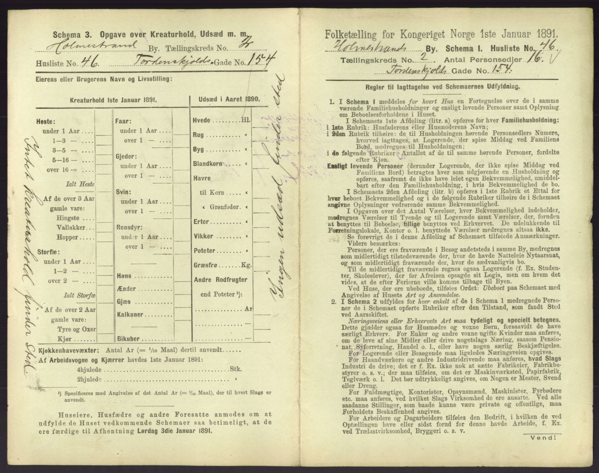 RA, 1891 census for 0702 Holmestrand, 1891, p. 218