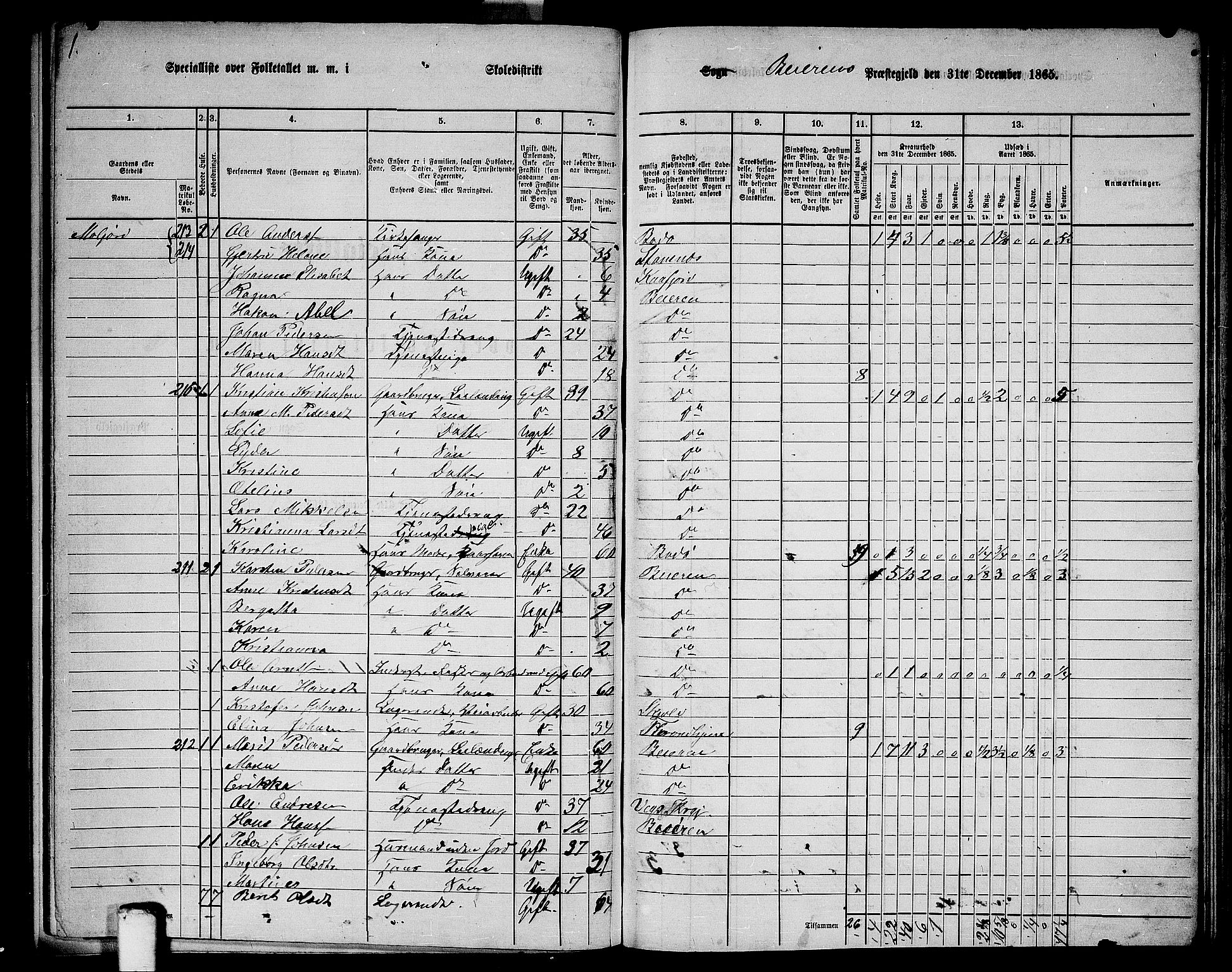 RA, 1865 census for Beiarn, 1865, p. 16