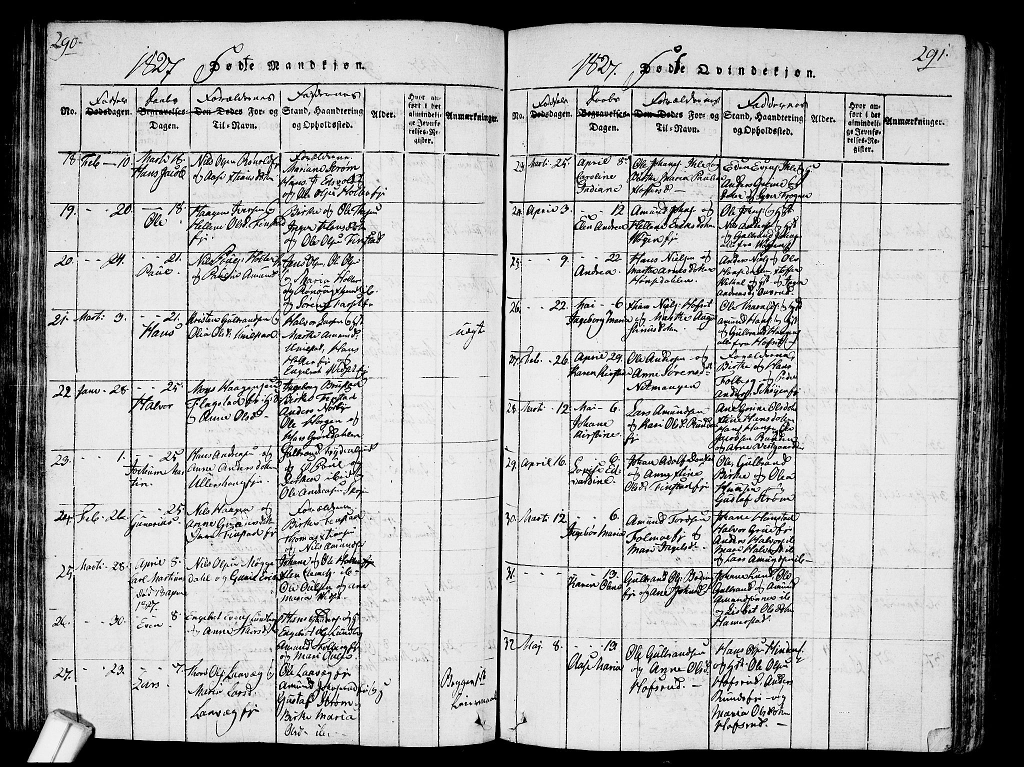 Nes prestekontor Kirkebøker, SAO/A-10410/G/Ga/L0001: Parish register (copy) no. I 1, 1815-1835, p. 290-291