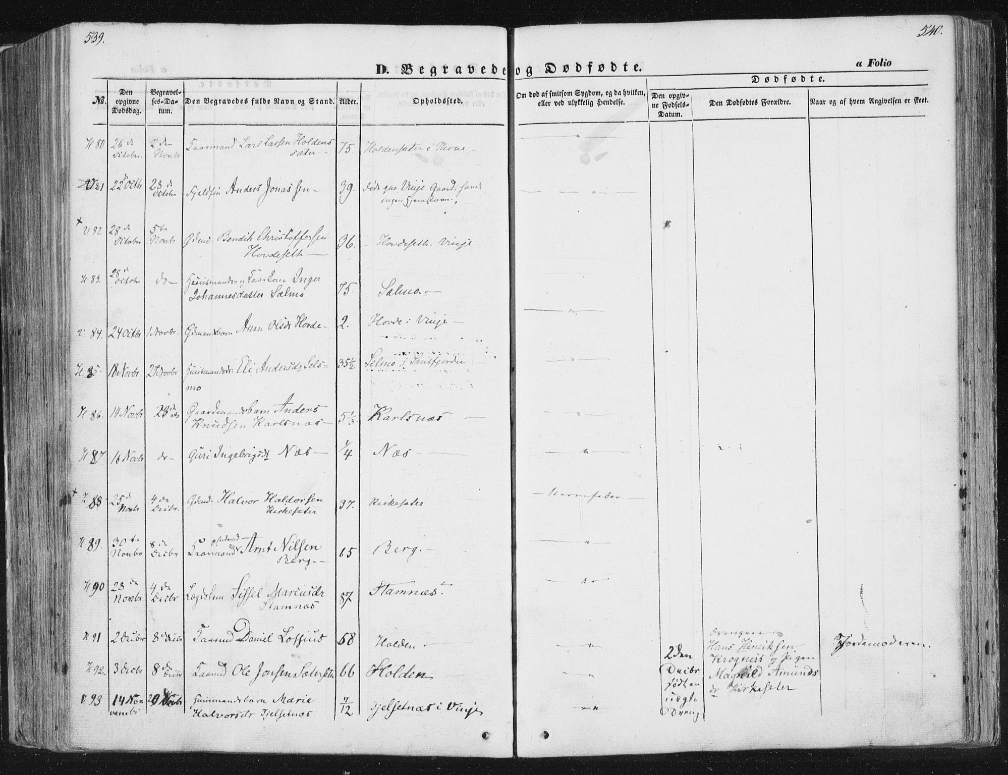 Ministerialprotokoller, klokkerbøker og fødselsregistre - Sør-Trøndelag, SAT/A-1456/630/L0494: Parish register (official) no. 630A07, 1852-1868, p. 539-540