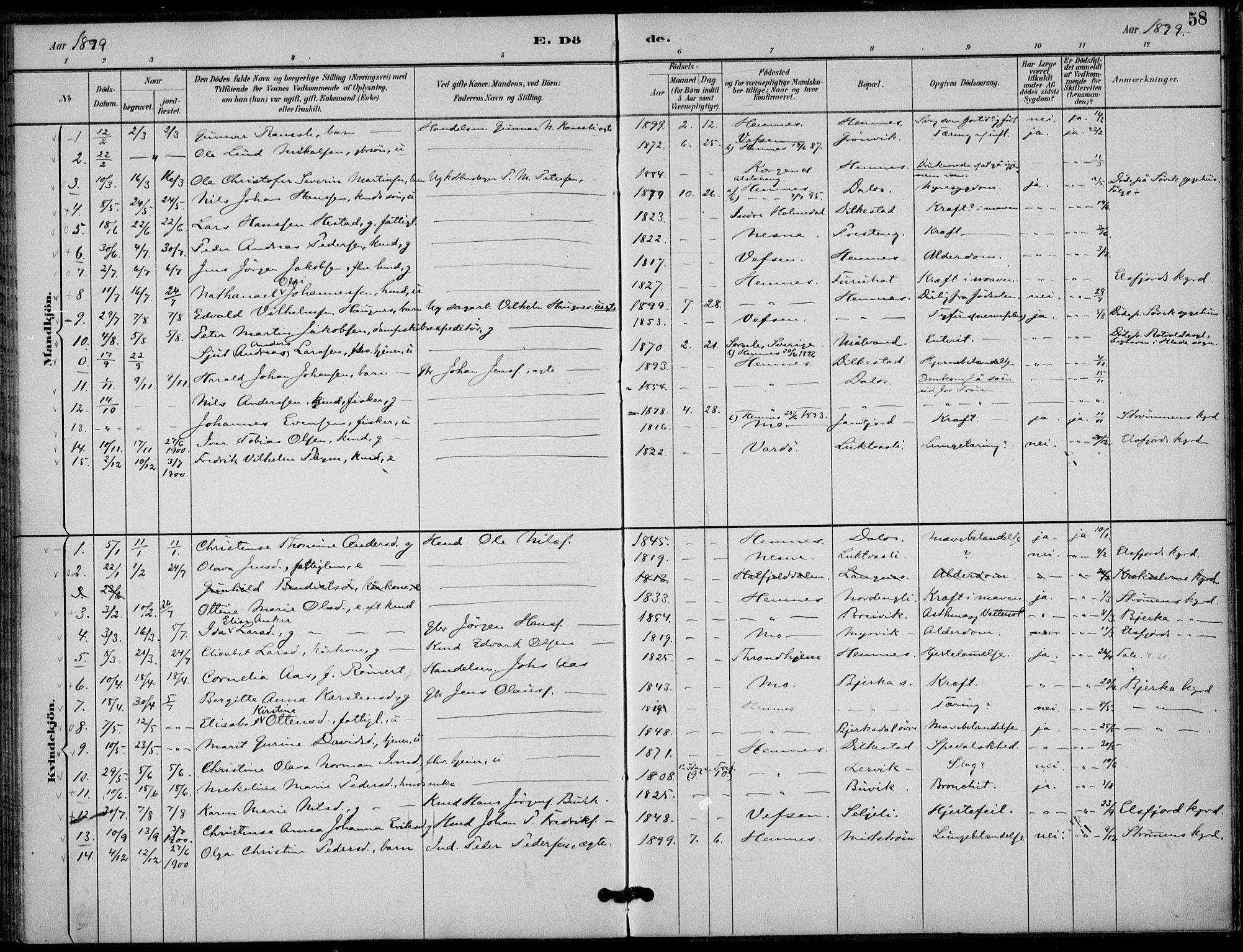Ministerialprotokoller, klokkerbøker og fødselsregistre - Nordland, SAT/A-1459/825/L0363: Parish register (official) no. 825A17, 1890-1909, p. 58