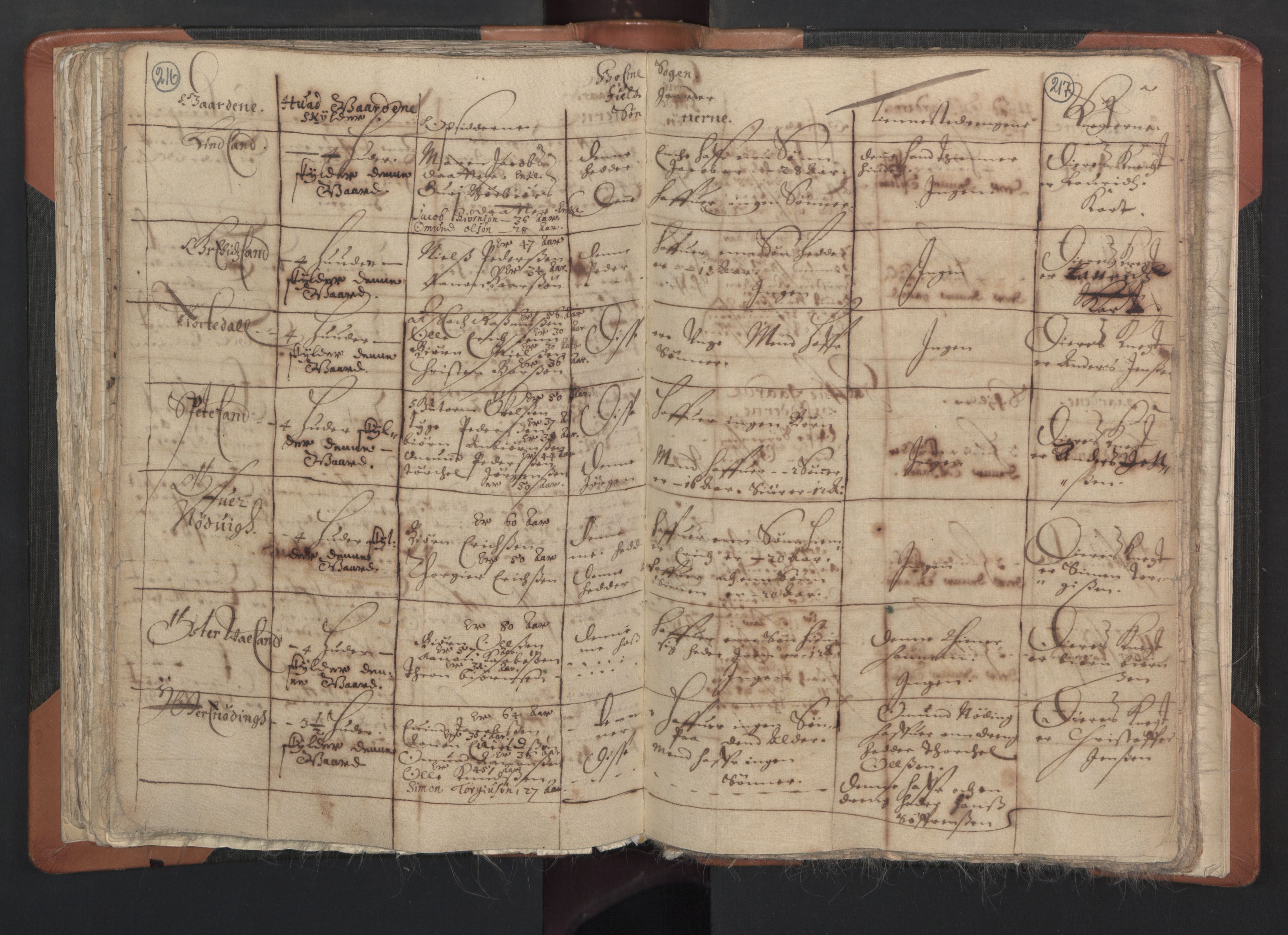 RA, Vicar's Census 1664-1666, no. 15: Mandal deanery, 1664-1666, p. 216-217