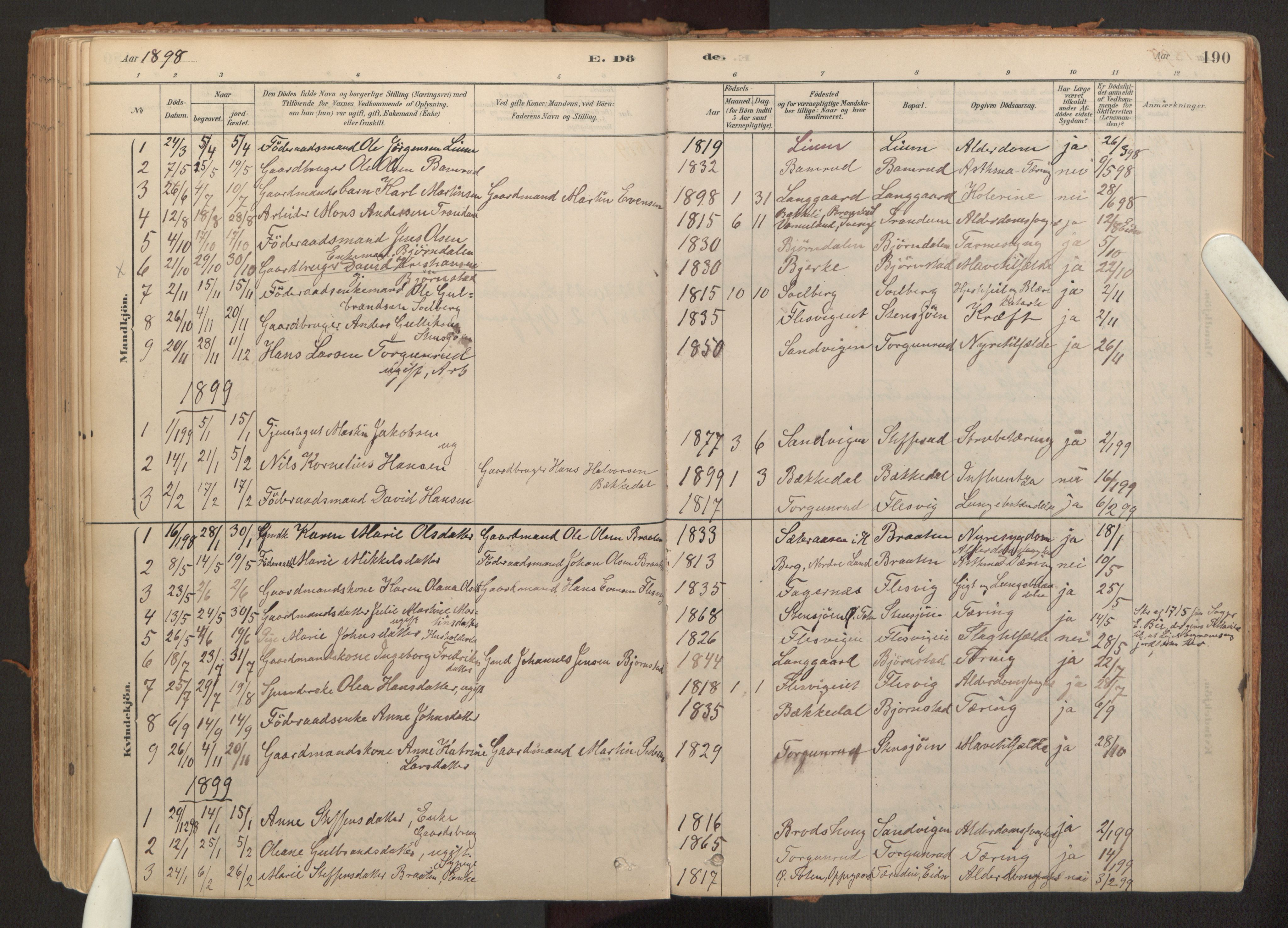 Hurdal prestekontor Kirkebøker, SAO/A-10889/F/Fb/L0003: Parish register (official) no. II 3, 1878-1920, p. 190