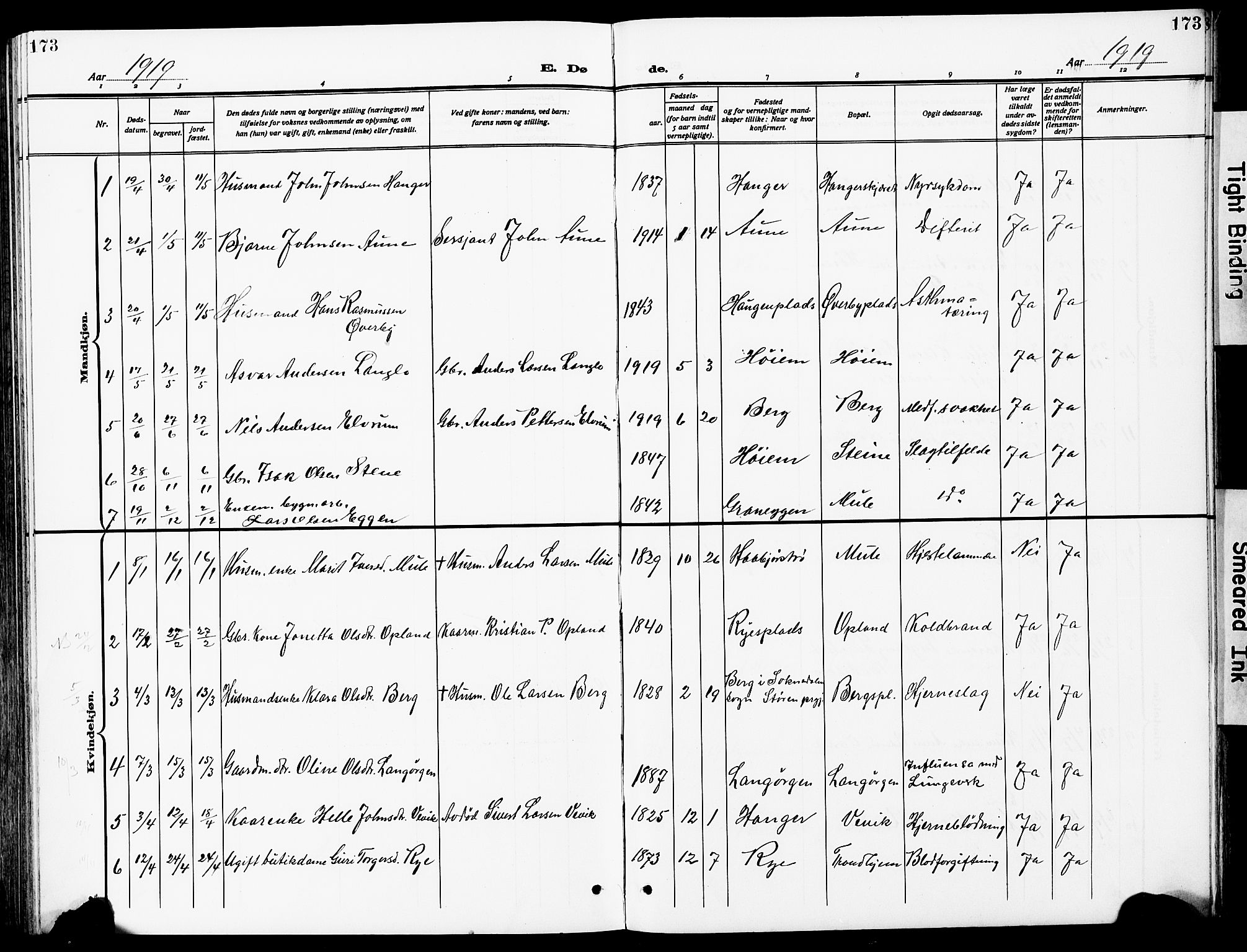 Ministerialprotokoller, klokkerbøker og fødselsregistre - Sør-Trøndelag, SAT/A-1456/612/L0388: Parish register (copy) no. 612C04, 1909-1929, p. 173