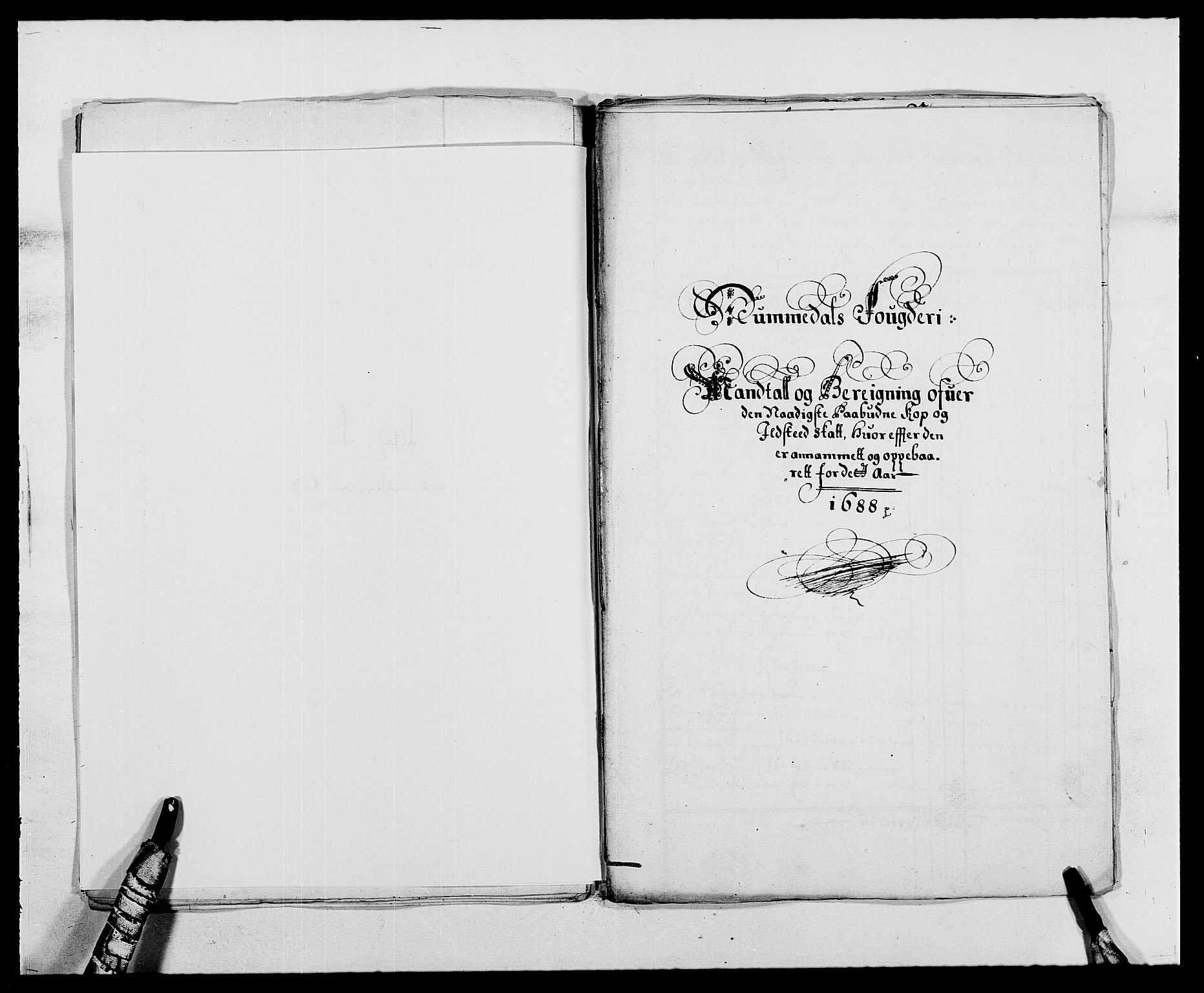 Rentekammeret inntil 1814, Reviderte regnskaper, Fogderegnskap, RA/EA-4092/R64/L4422: Fogderegnskap Namdal, 1687-1689, p. 133