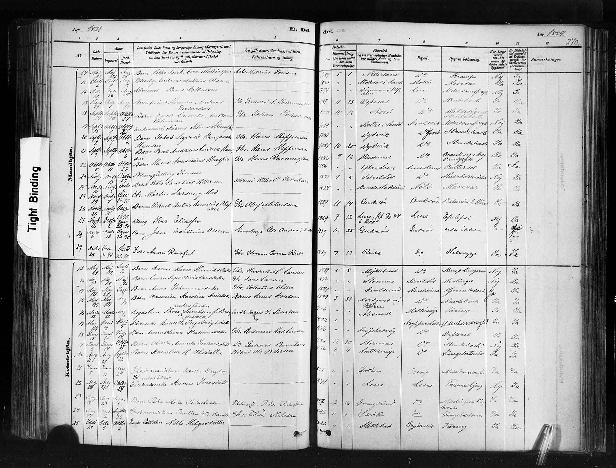 Ministerialprotokoller, klokkerbøker og fødselsregistre - Møre og Romsdal, SAT/A-1454/507/L0073: Parish register (official) no. 507A08, 1878-1904, p. 270