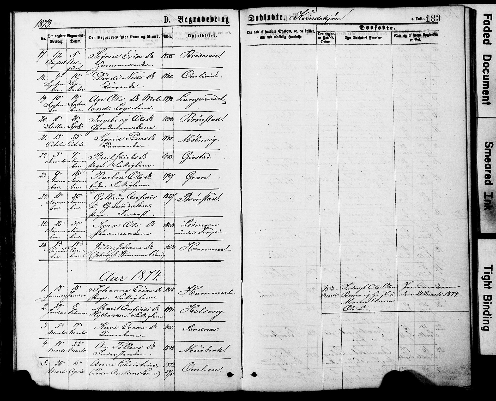 Ministerialprotokoller, klokkerbøker og fødselsregistre - Nord-Trøndelag, SAT/A-1458/749/L0473: Parish register (official) no. 749A07, 1873-1887, p. 183