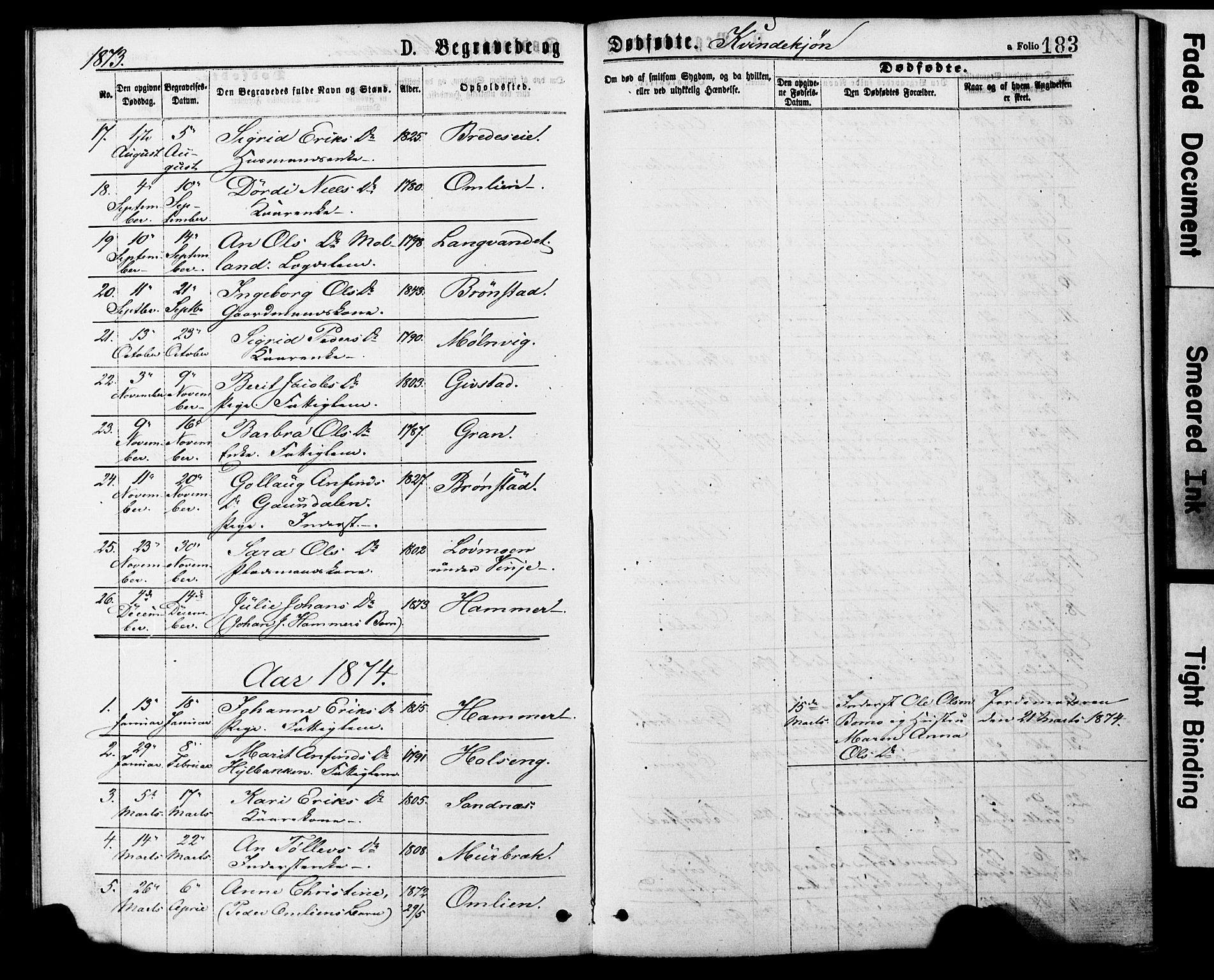 Ministerialprotokoller, klokkerbøker og fødselsregistre - Nord-Trøndelag, AV/SAT-A-1458/749/L0473: Parish register (official) no. 749A07, 1873-1887, p. 183