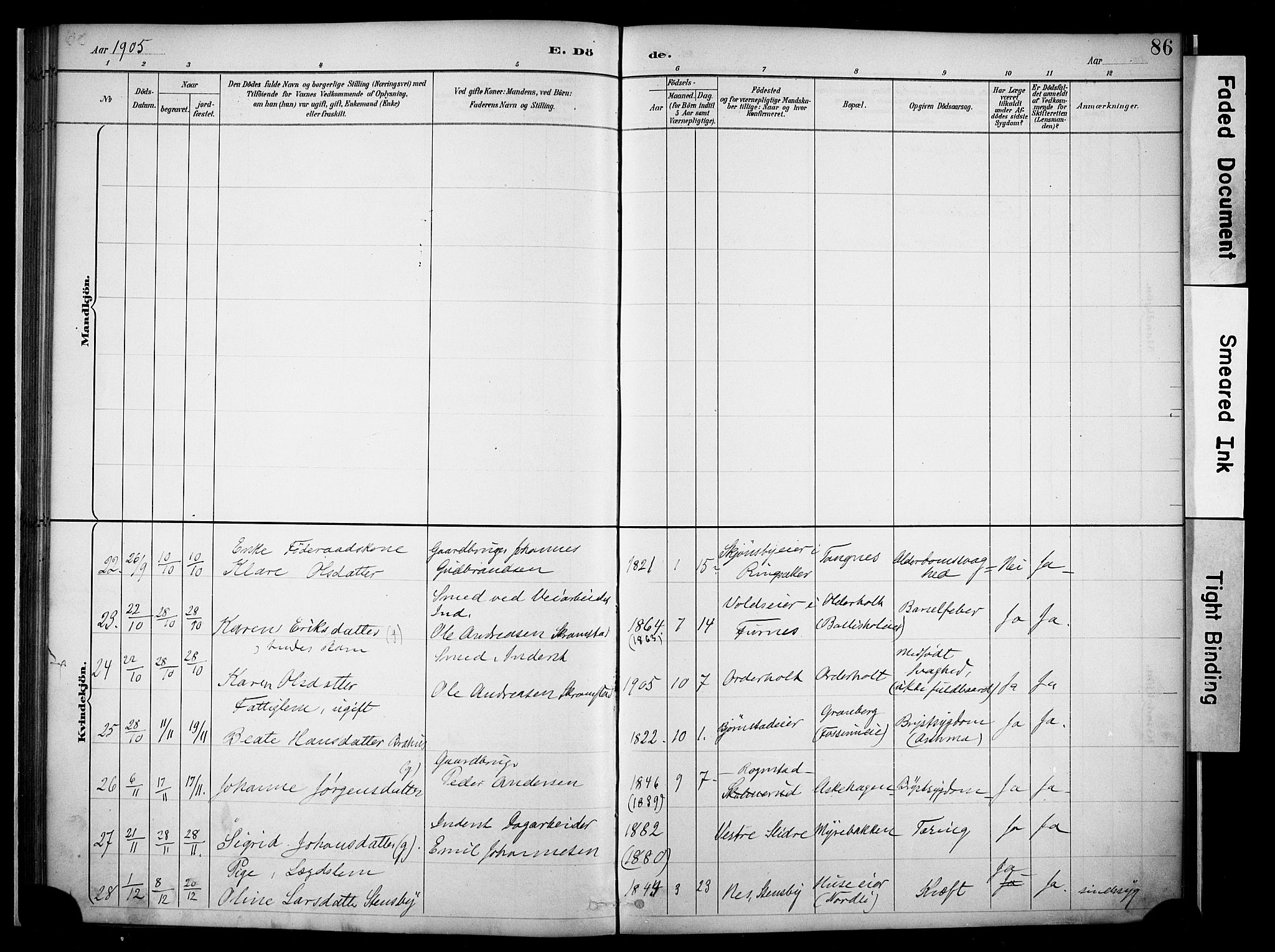 Nes prestekontor, Hedmark, AV/SAH-PREST-020/K/Ka/L0011: Parish register (official) no. 11, 1887-1905, p. 86