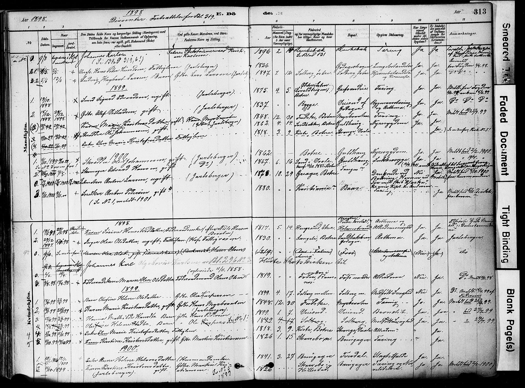 Botne kirkebøker, SAKO/A-340/F/Fa/L0007: Parish register (official) no. I 7, 1878-1910, p. 313