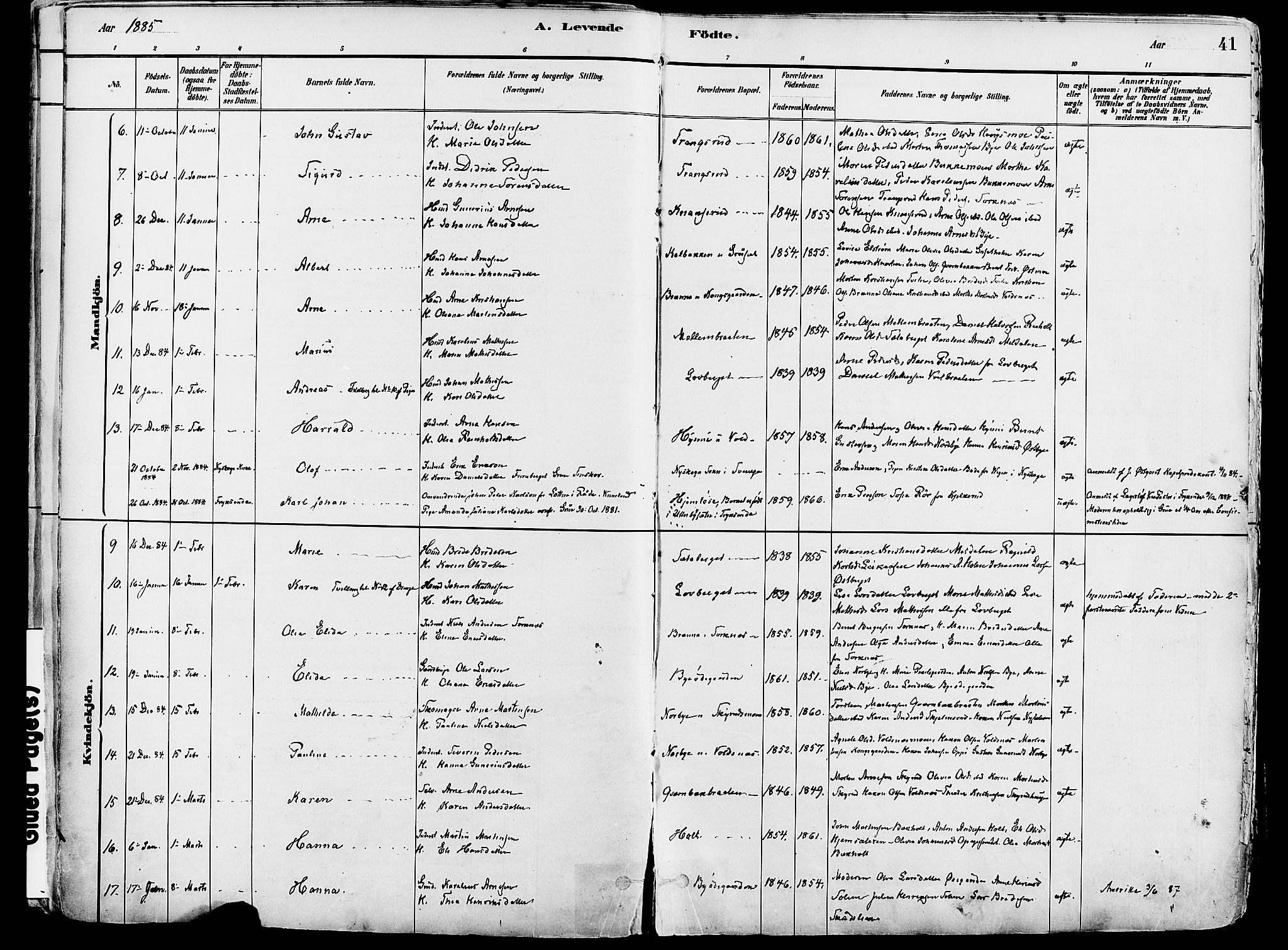 Grue prestekontor, AV/SAH-PREST-036/H/Ha/Haa/L0012: Parish register (official) no. 12, 1881-1897, p. 41