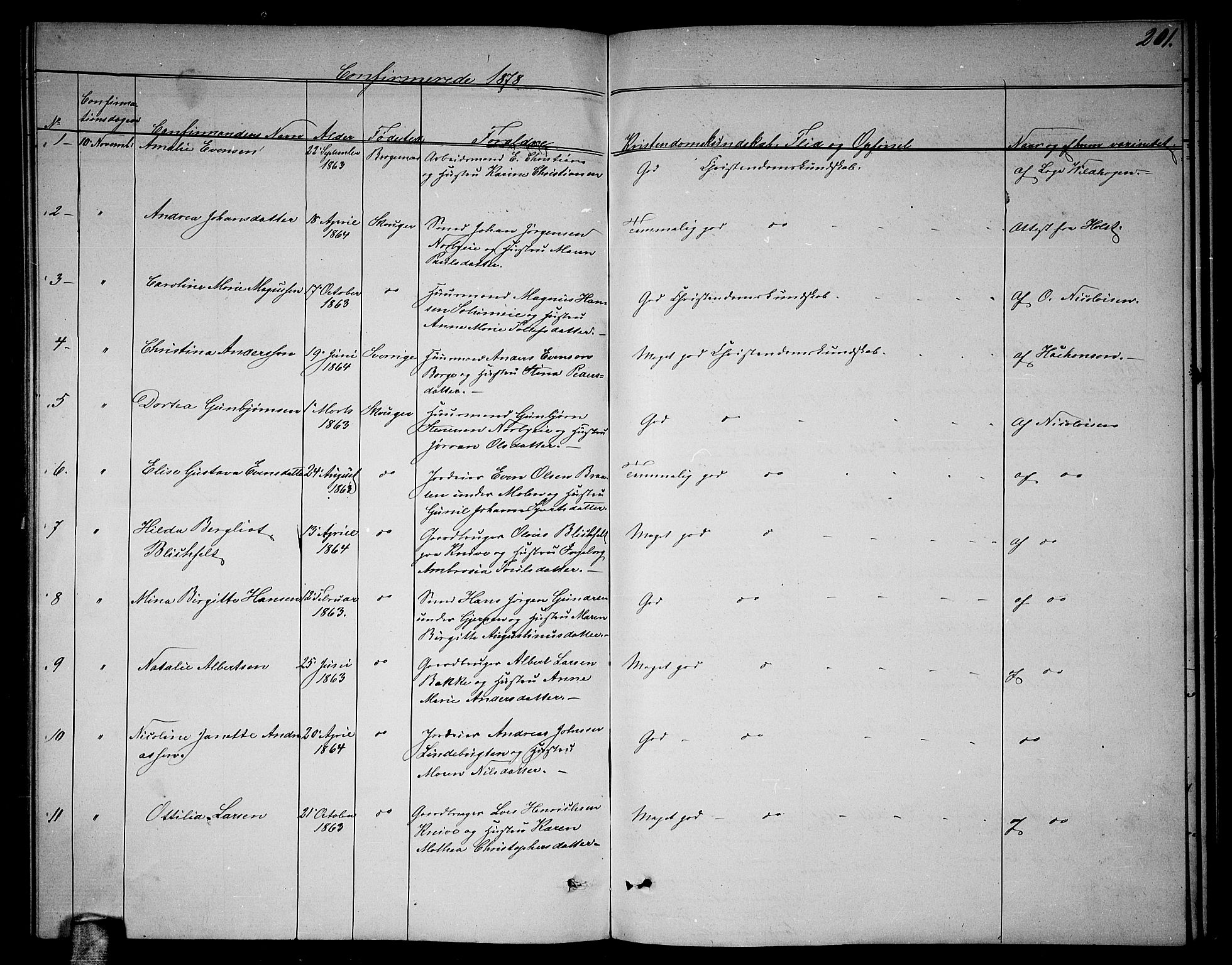 Skoger kirkebøker, AV/SAKO-A-59/G/Ga/L0002: Parish register (copy) no. I 2, 1860-1880, p. 201