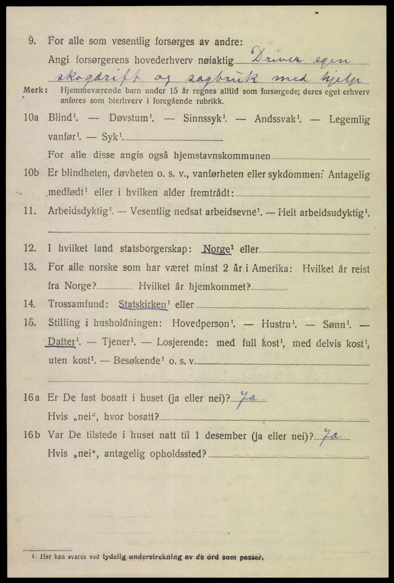 SAK, 1920 census for Hornnes, 1920, p. 1566