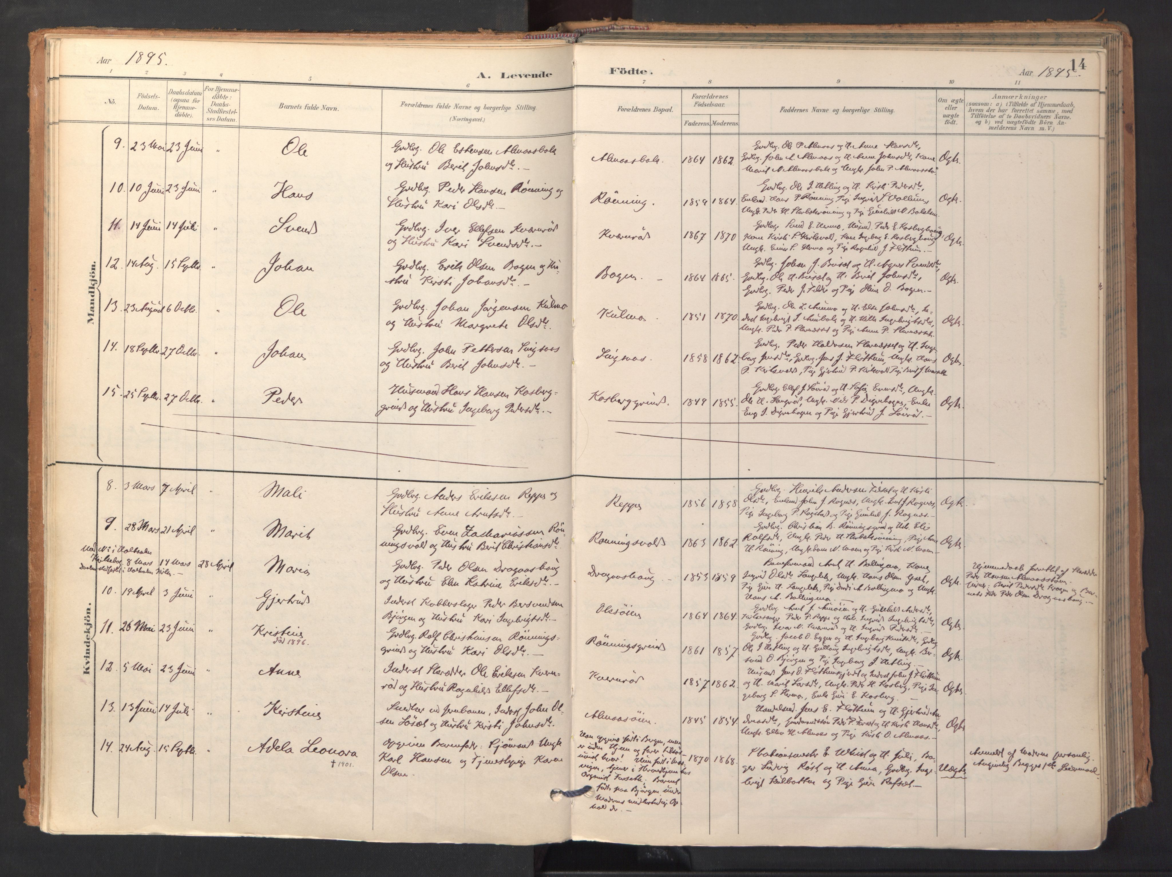 Ministerialprotokoller, klokkerbøker og fødselsregistre - Sør-Trøndelag, AV/SAT-A-1456/688/L1025: Parish register (official) no. 688A02, 1891-1909, p. 14