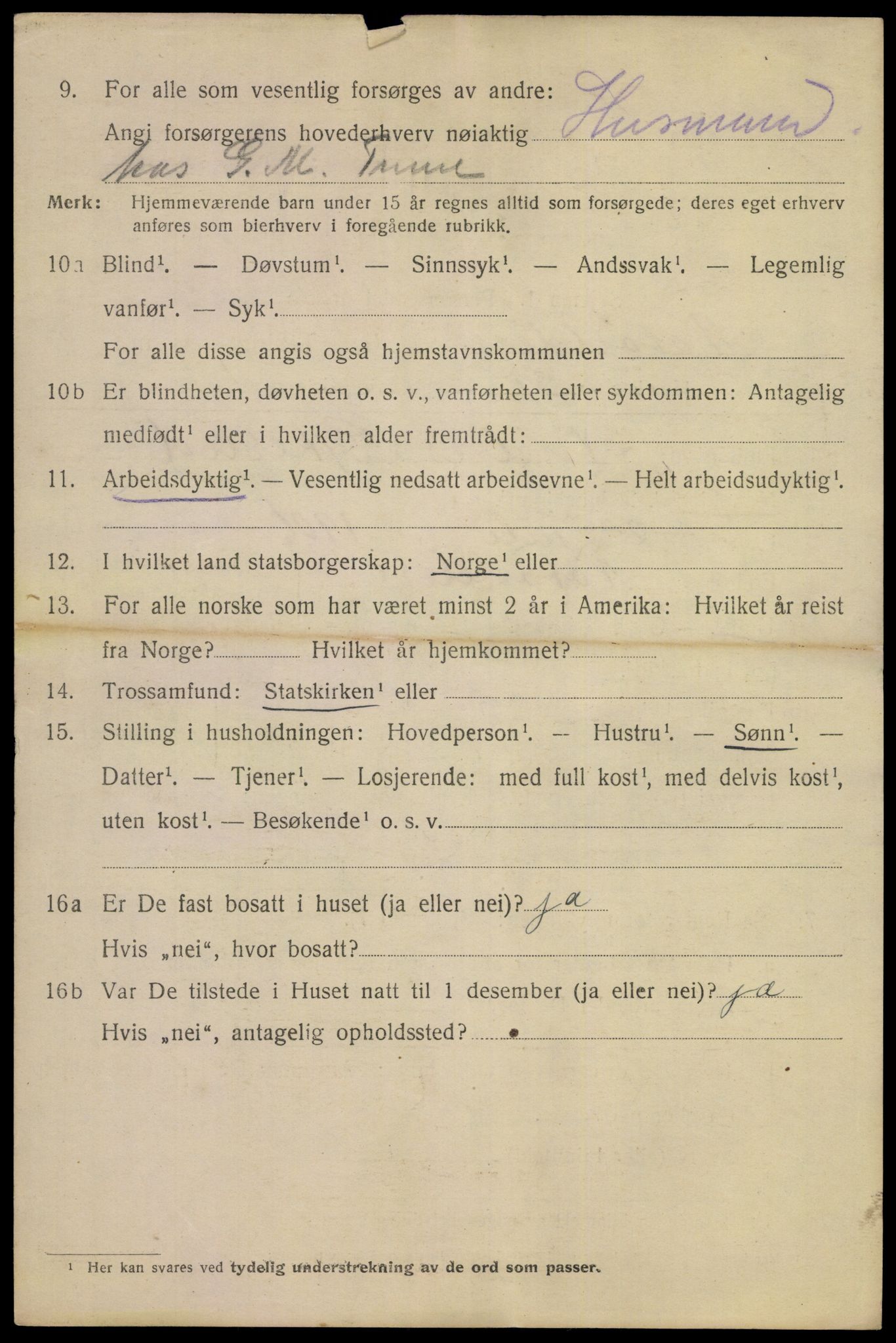 SAKO, 1920 census for Notodden, 1920, p. 15205