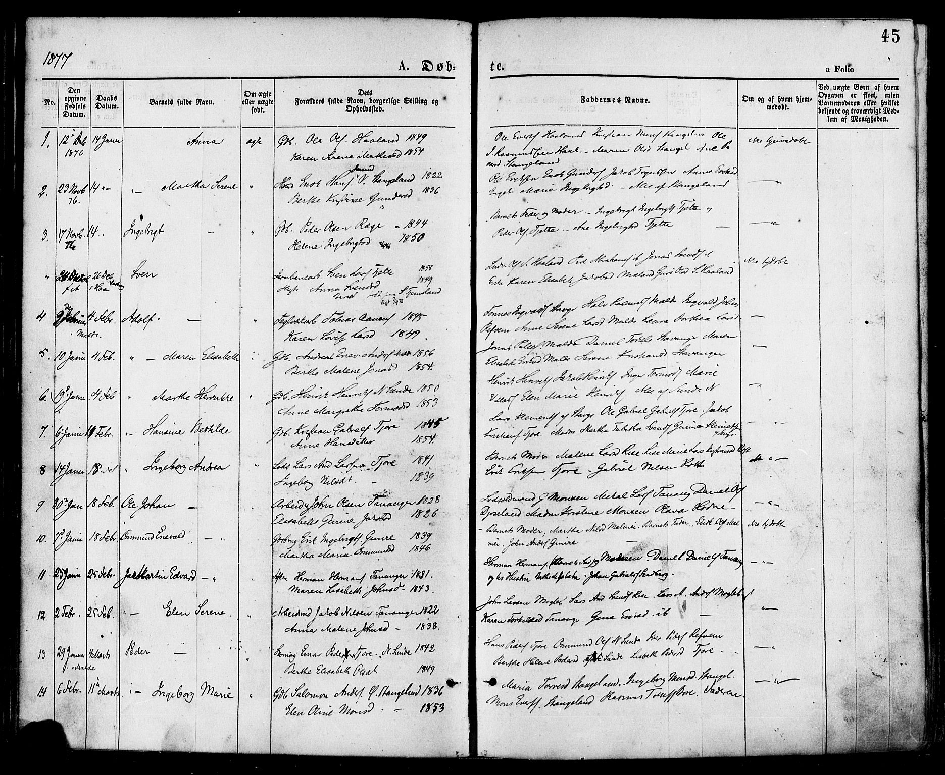 Håland sokneprestkontor, AV/SAST-A-101802/001/30BA/L0009: Parish register (official) no. A 8, 1871-1882, p. 45