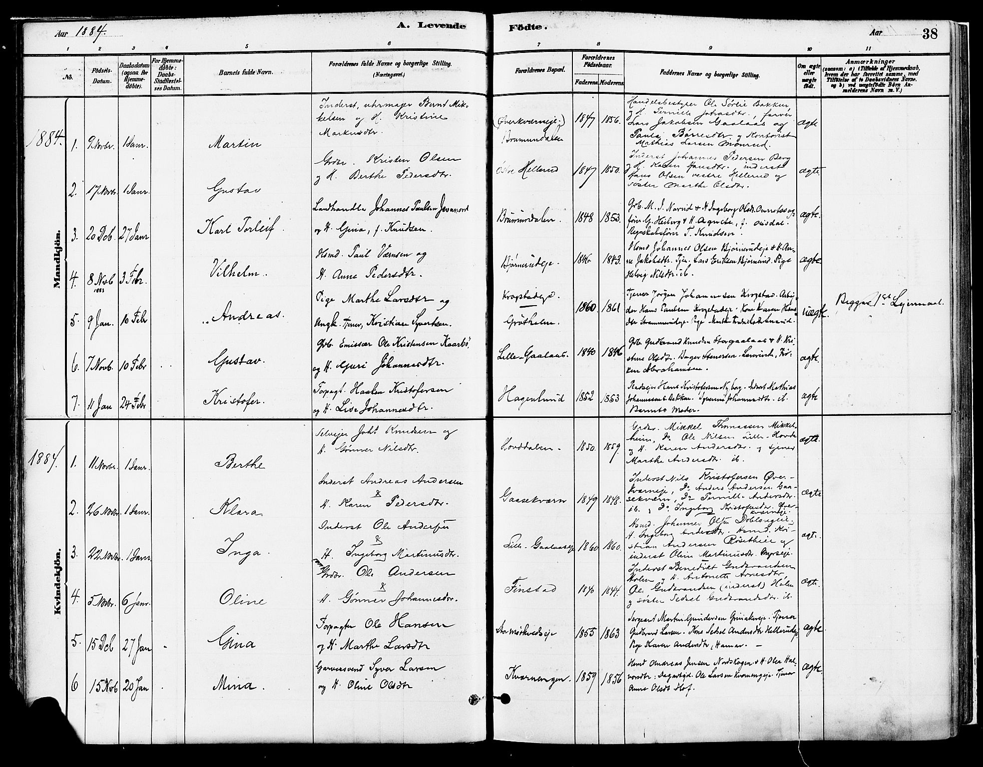Vang prestekontor, Hedmark, SAH/PREST-008/H/Ha/Haa/L0018A: Parish register (official) no. 18A, 1880-1906, p. 38