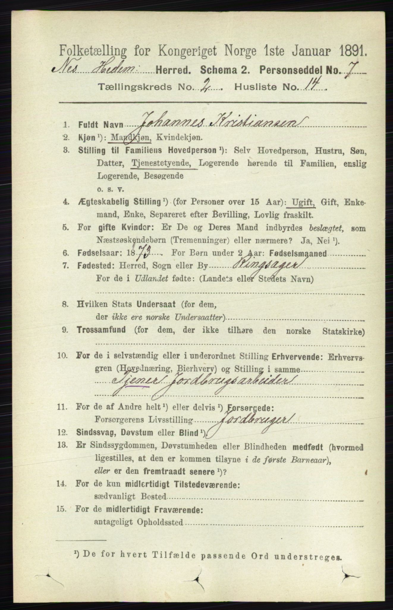 RA, 1891 census for 0411 Nes, 1891, p. 1157