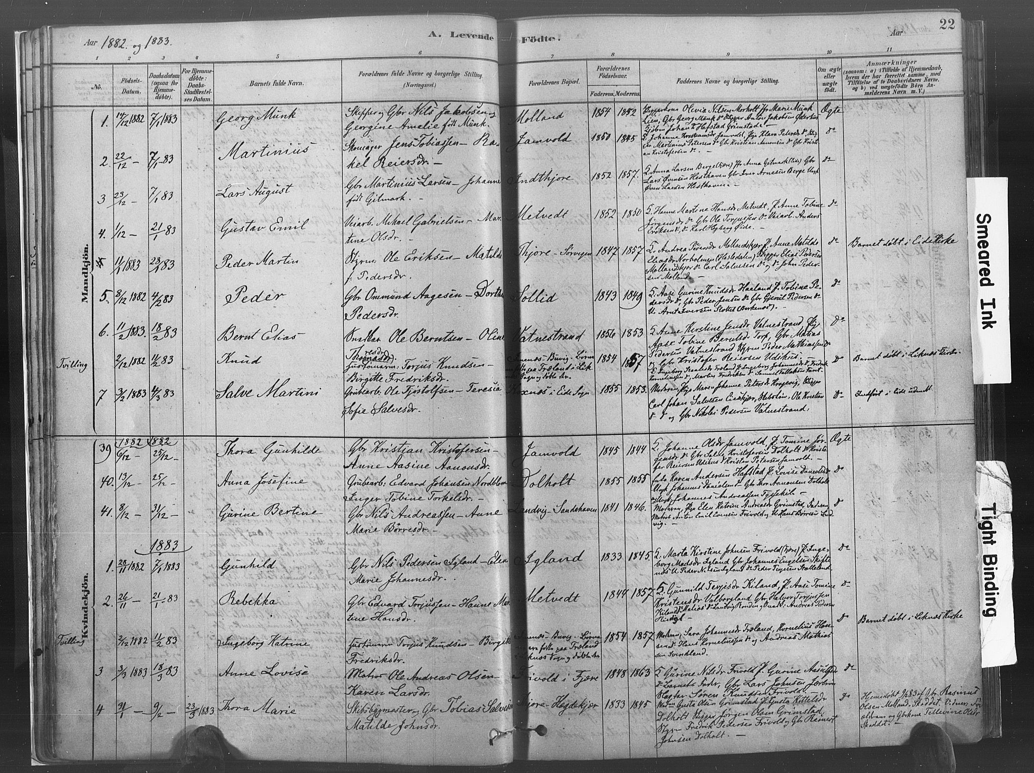 Hommedal sokneprestkontor, AV/SAK-1111-0023/F/Fa/Fab/L0006: Parish register (official) no. A 6, 1878-1897, p. 22