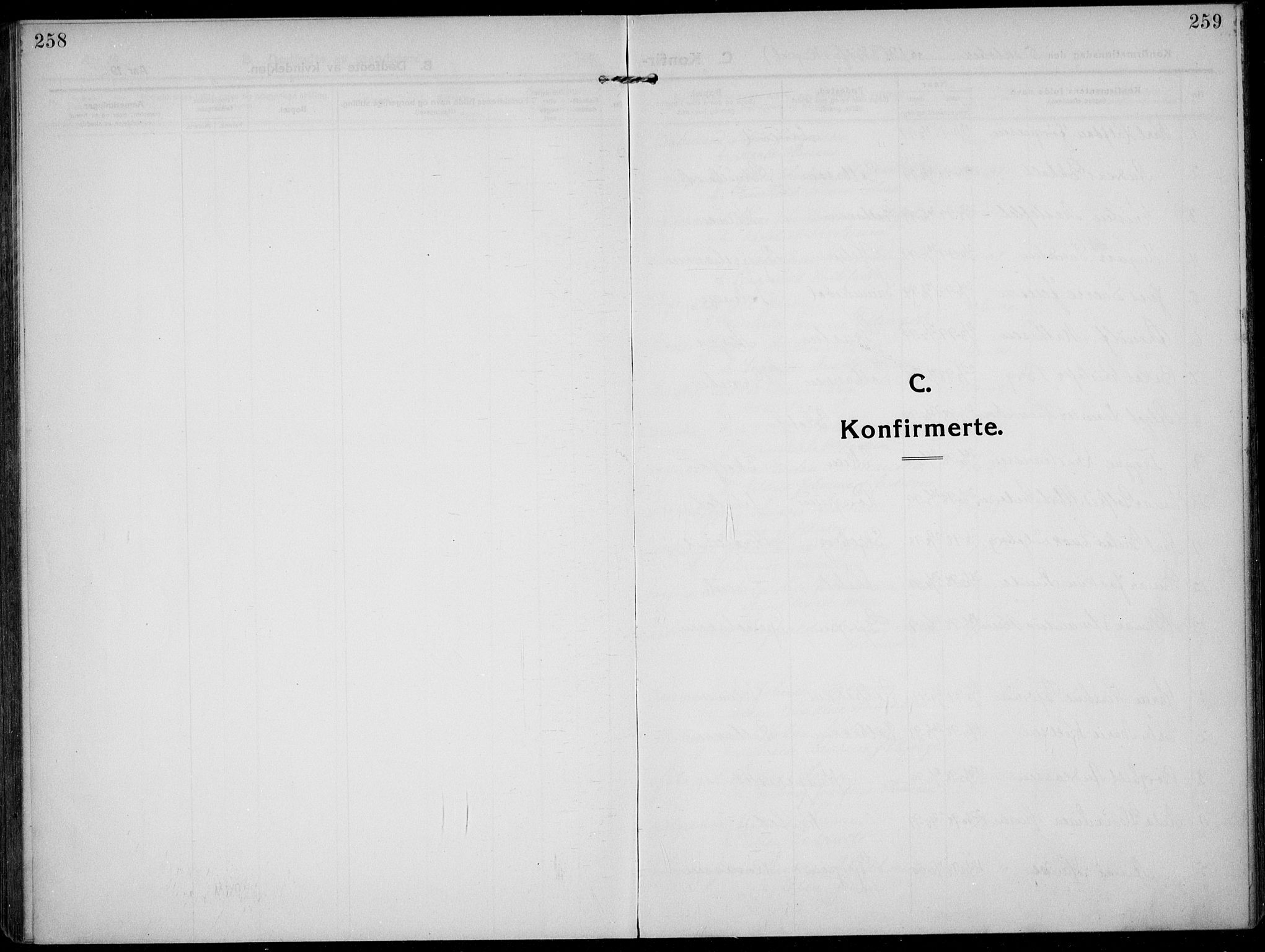 Solum kirkebøker, SAKO/A-306/F/Fb/L0004: Parish register (official) no. II 4, 1913-1924, p. 258-259