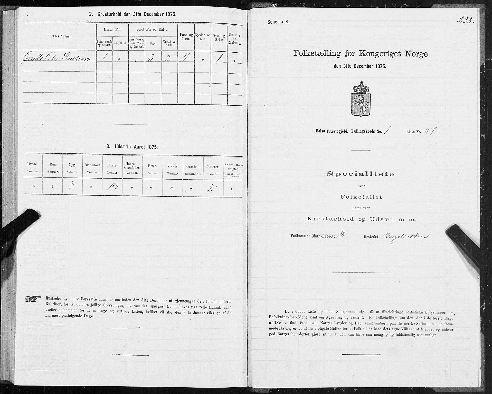 SAT, 1875 census for 1544P Bolsøy, 1875, p. 1233