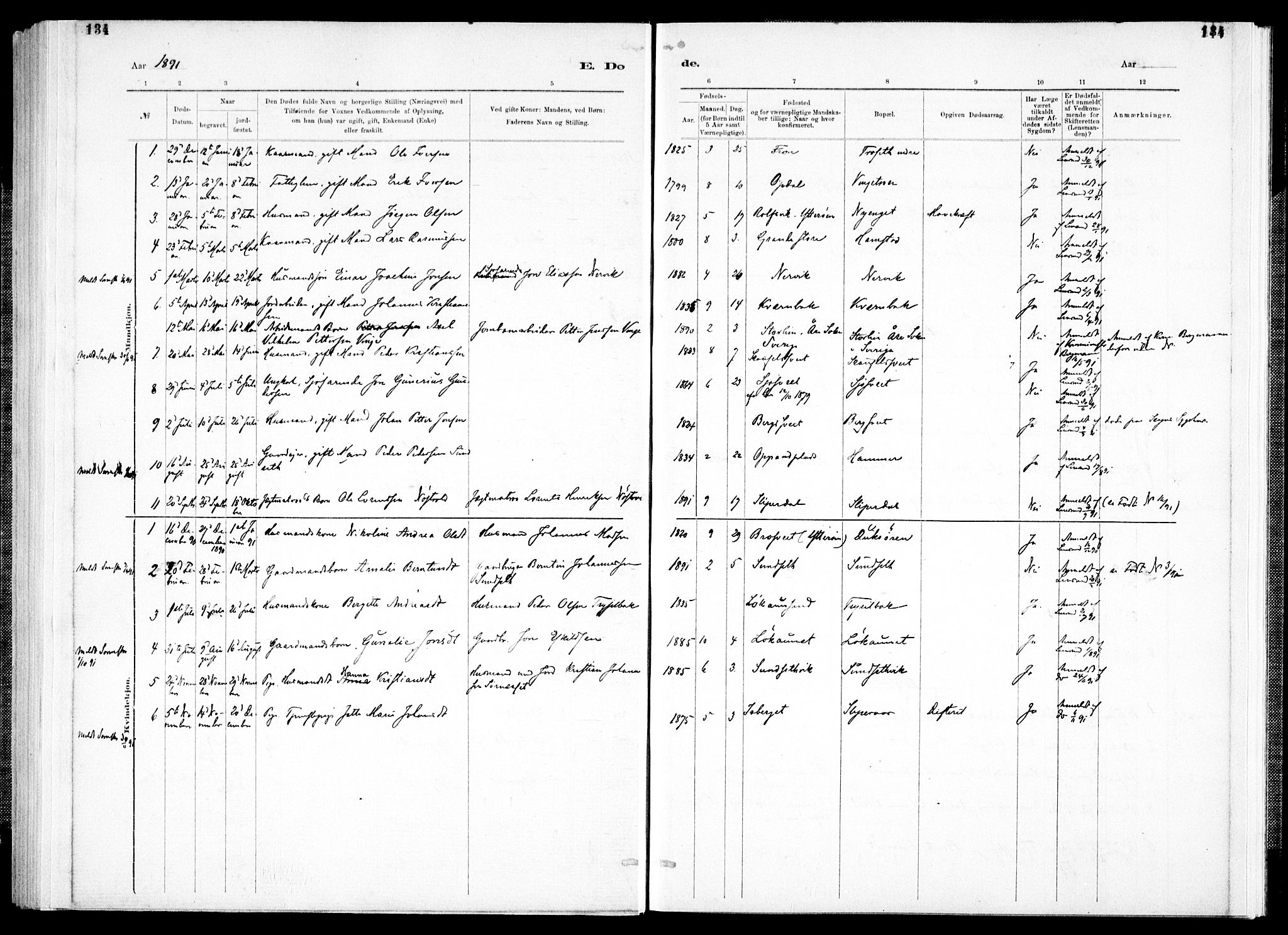 Ministerialprotokoller, klokkerbøker og fødselsregistre - Nord-Trøndelag, AV/SAT-A-1458/733/L0325: Parish register (official) no. 733A04, 1884-1908, p. 134