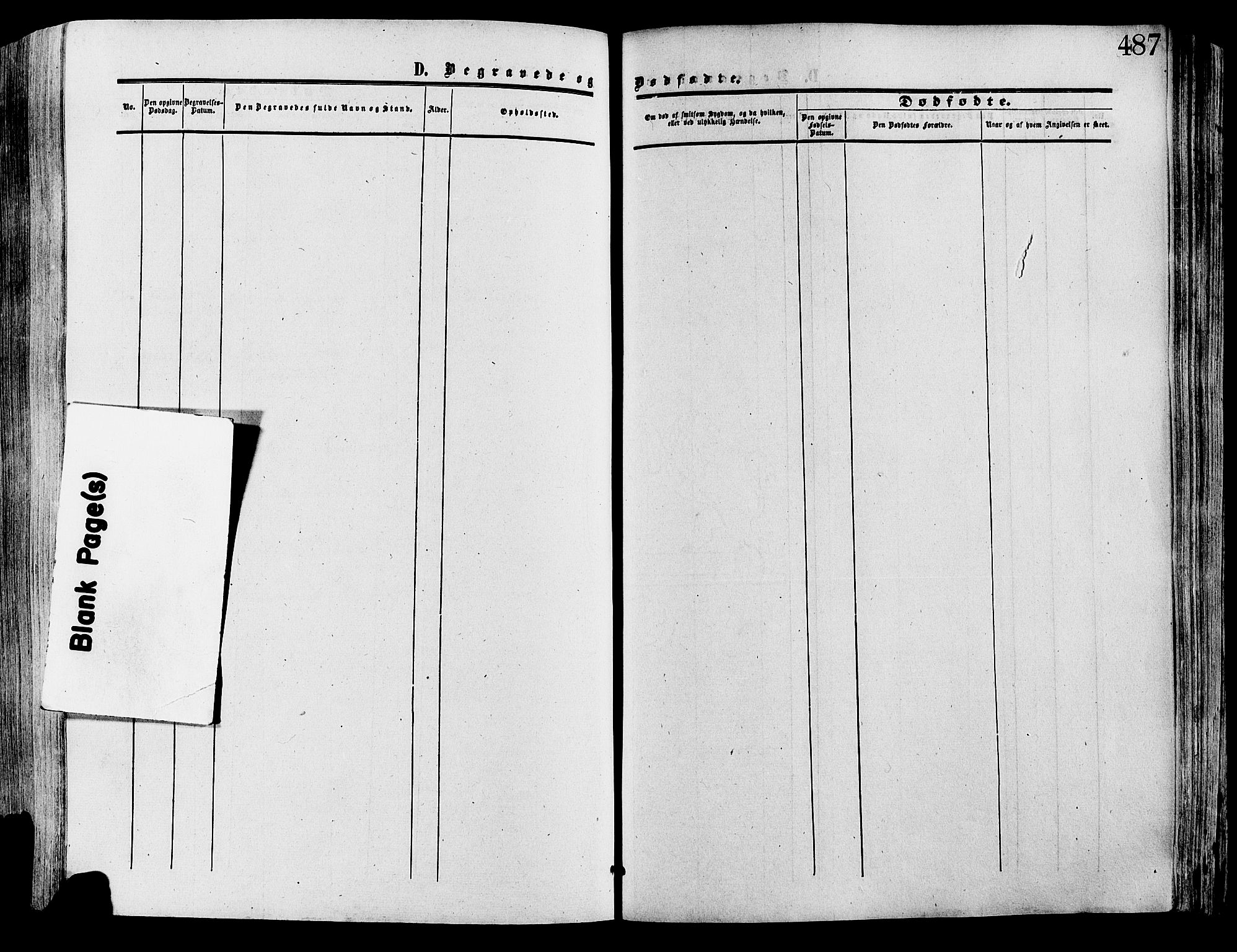 Lesja prestekontor, AV/SAH-PREST-068/H/Ha/Haa/L0008: Parish register (official) no. 8, 1854-1880, p. 487