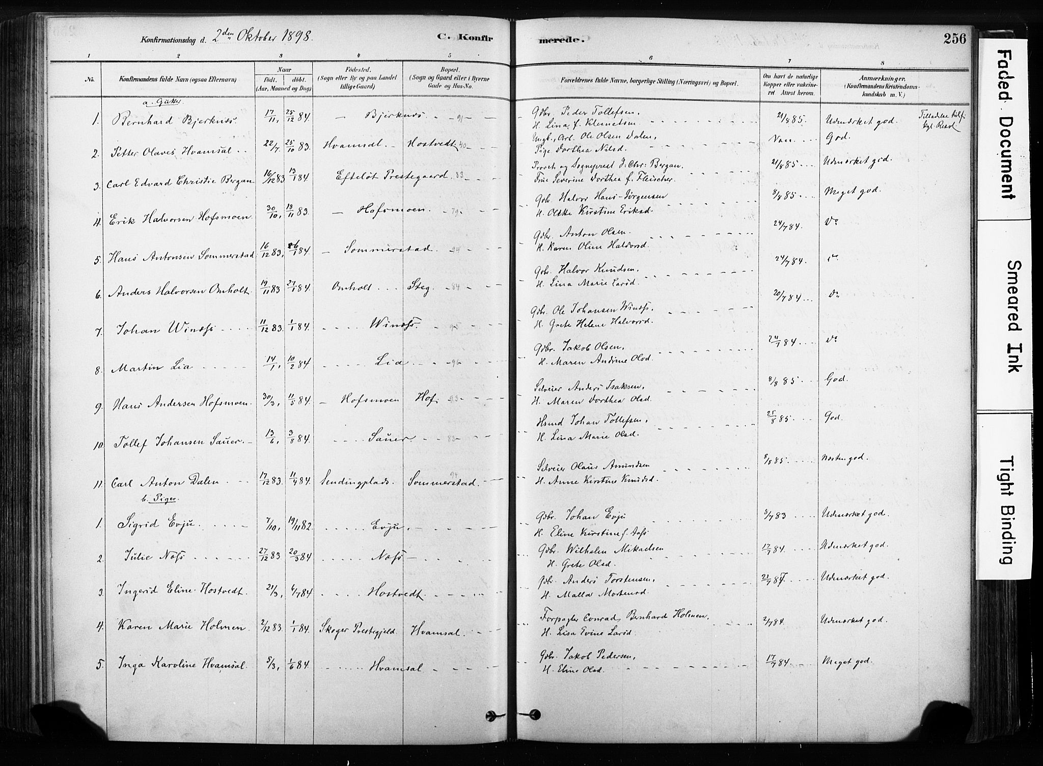 Sandsvær kirkebøker, AV/SAKO-A-244/F/Fb/L0001: Parish register (official) no. II 1, 1878-1906, p. 256