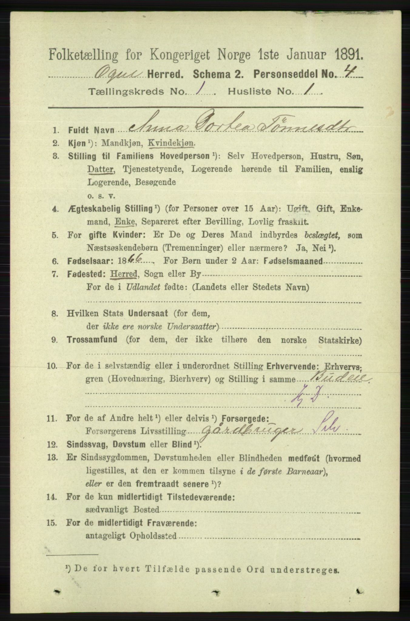 RA, 1891 census for 1117 Ogna, 1891, p. 111