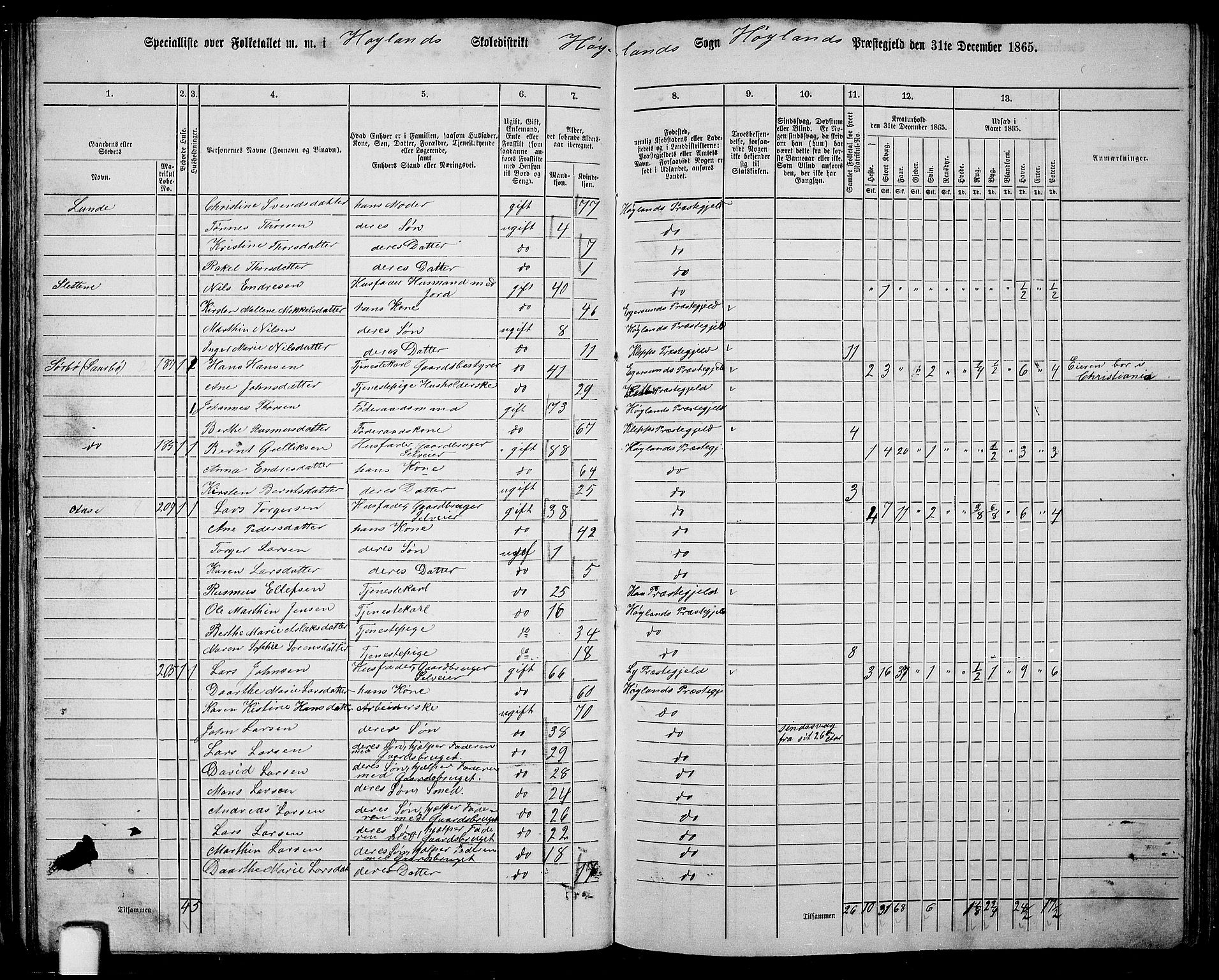 RA, 1865 census for Høyland, 1865, p. 64