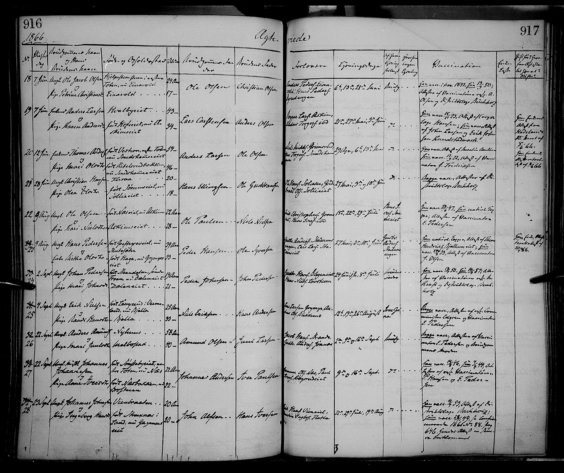 Gran prestekontor, AV/SAH-PREST-112/H/Ha/Haa/L0012: Parish register (official) no. 12, 1856-1874, p. 916-917