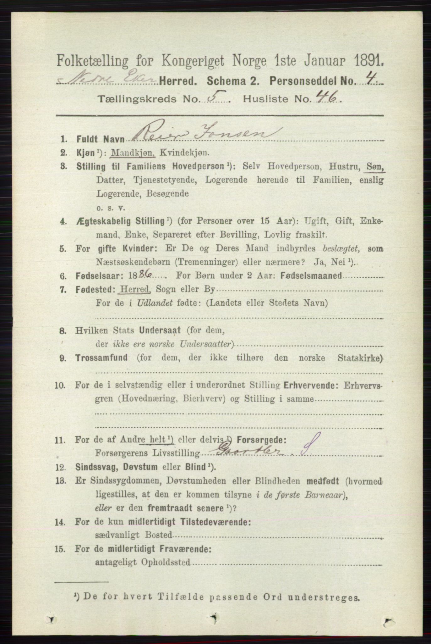 RA, 1891 census for 0625 Nedre Eiker, 1891, p. 2597