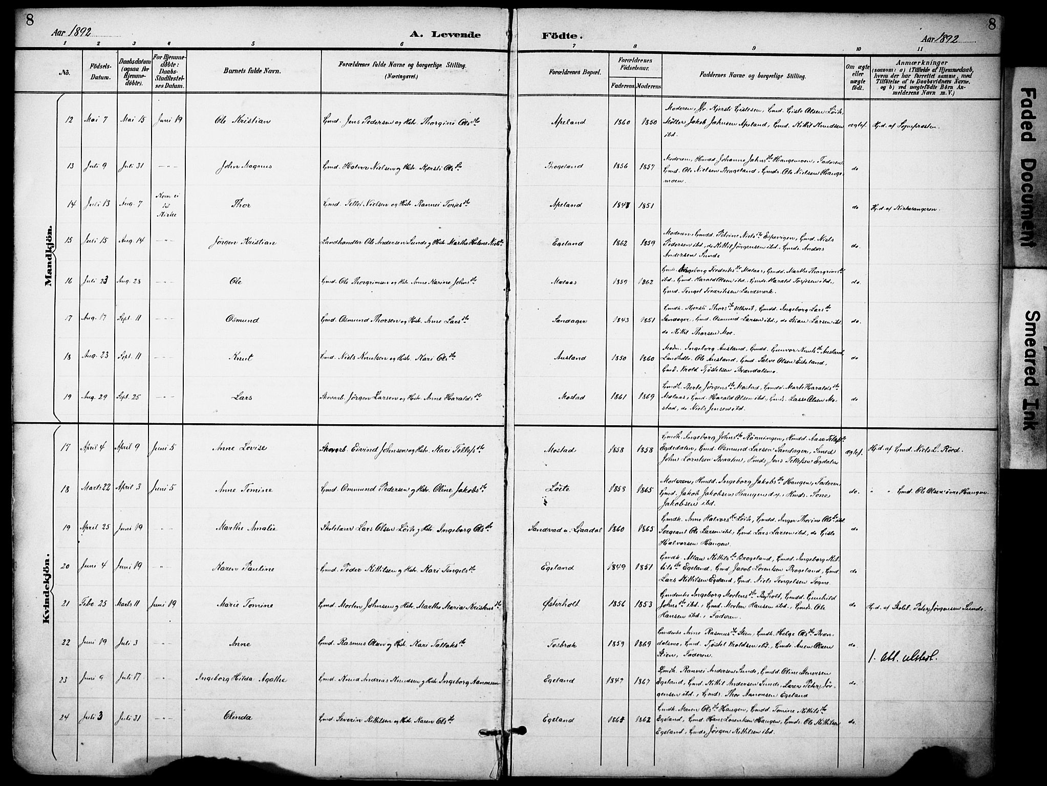 Gjerstad sokneprestkontor, AV/SAK-1111-0014/F/Fa/Faa/L0010: Parish register (official) no. A 10, 1891-1902, p. 8