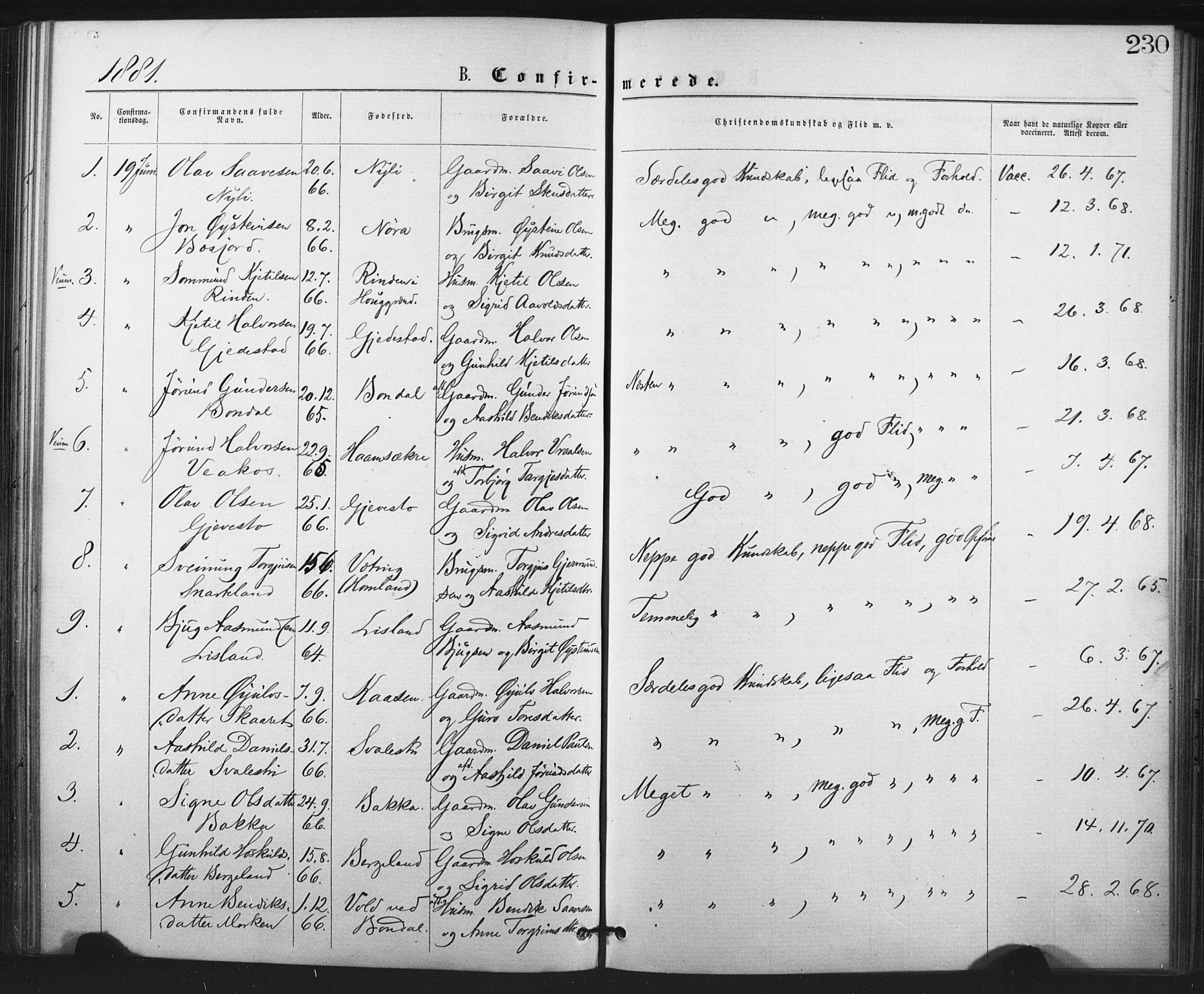 Fyresdal kirkebøker, SAKO/A-263/F/Fa/L0006: Parish register (official) no. I 6, 1872-1886, p. 230