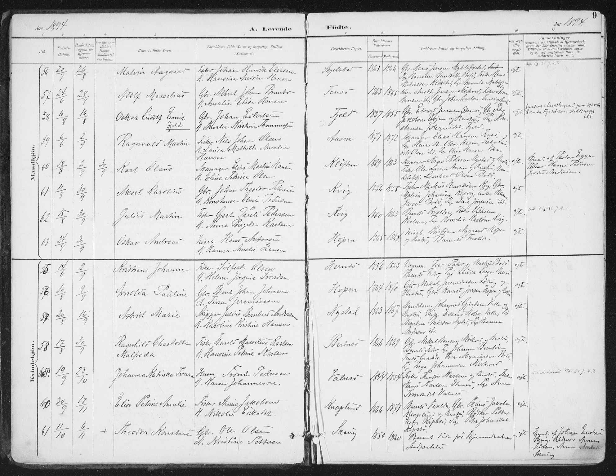 Ministerialprotokoller, klokkerbøker og fødselsregistre - Nordland, SAT/A-1459/802/L0055: Parish register (official) no. 802A02, 1894-1915, p. 9