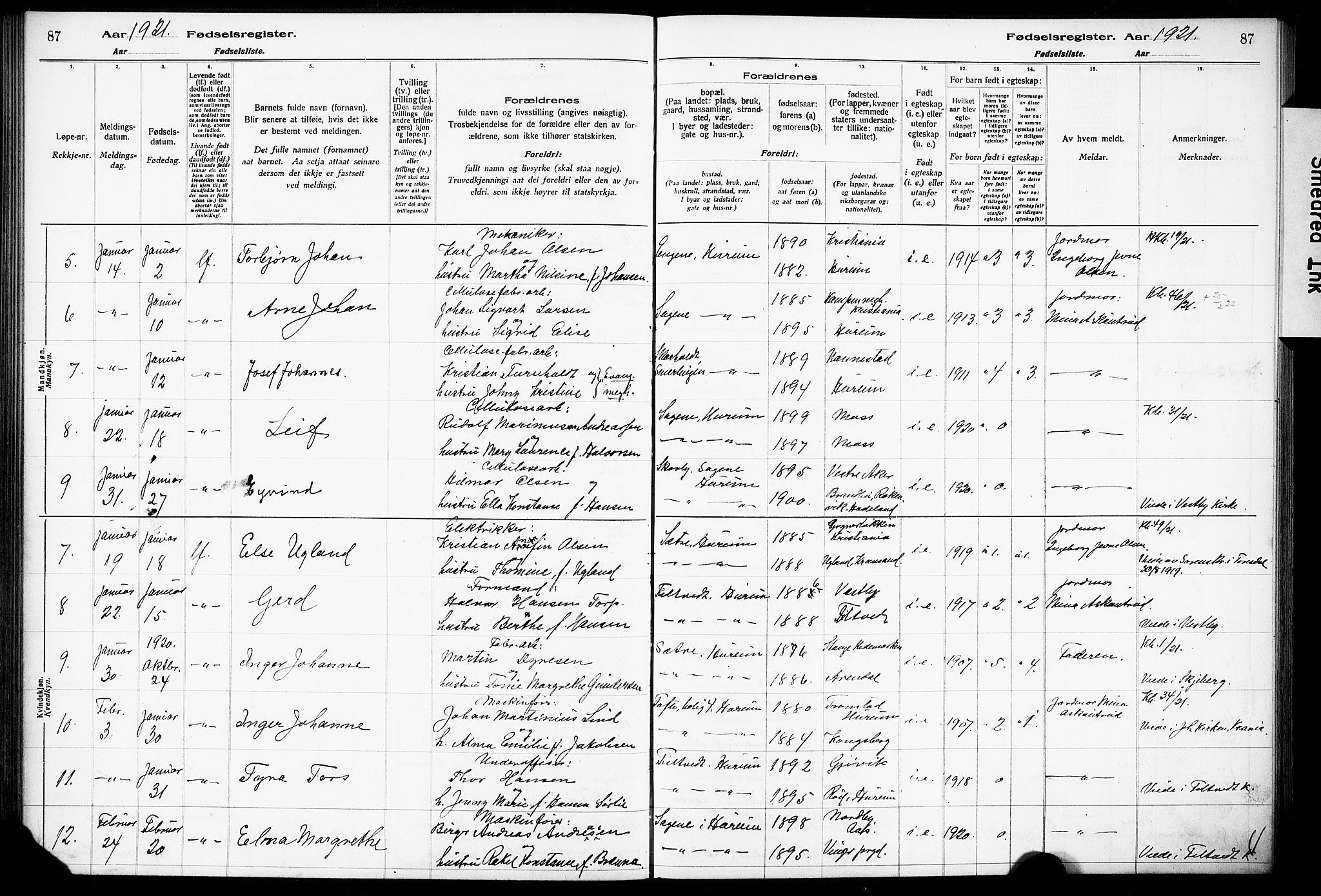 Hurum kirkebøker, AV/SAKO-A-229/J/Ja/L0001: Birth register no. 1, 1916-1928, p. 87