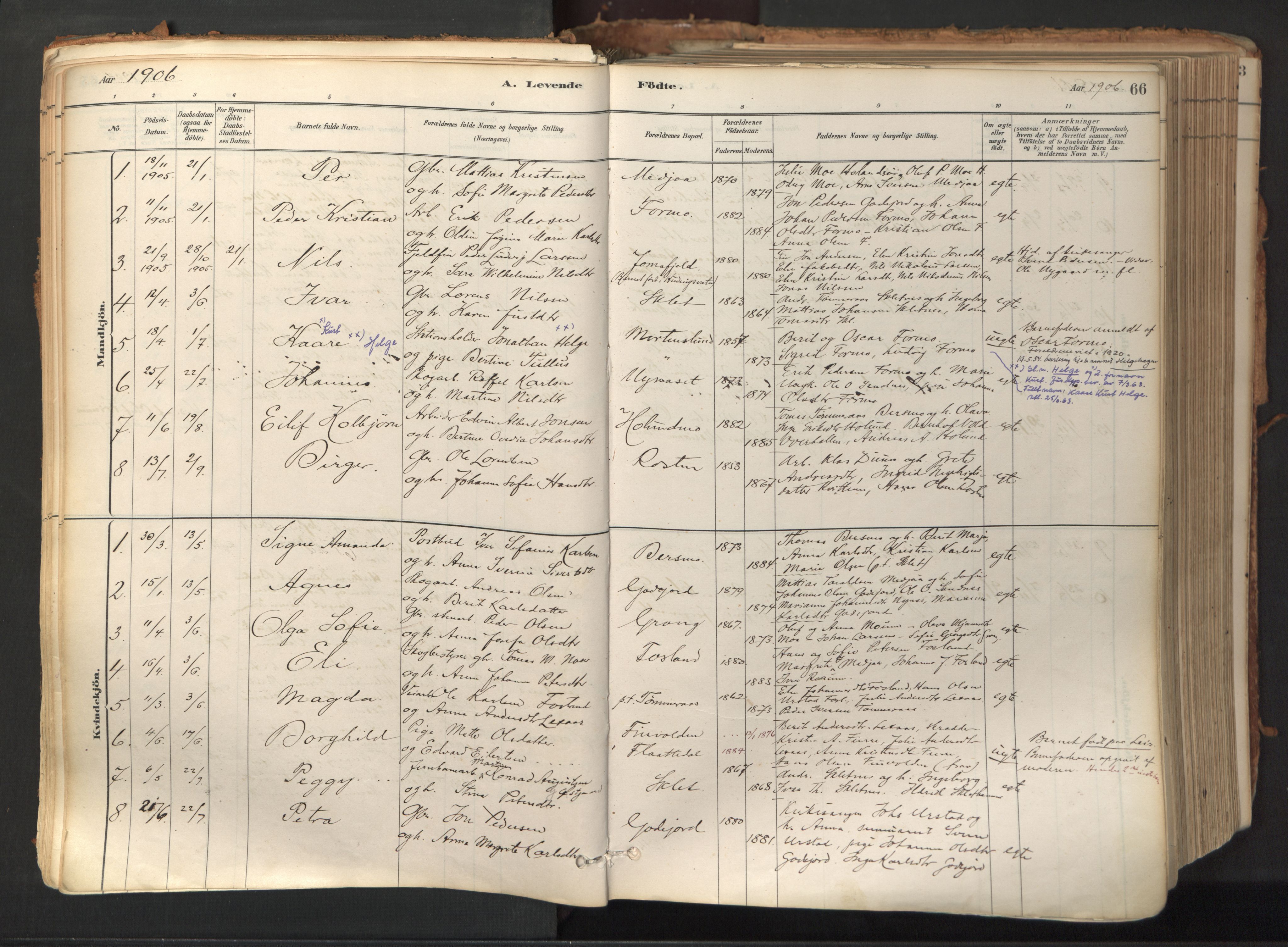 Ministerialprotokoller, klokkerbøker og fødselsregistre - Nord-Trøndelag, SAT/A-1458/758/L0519: Parish register (official) no. 758A04, 1880-1926, p. 66