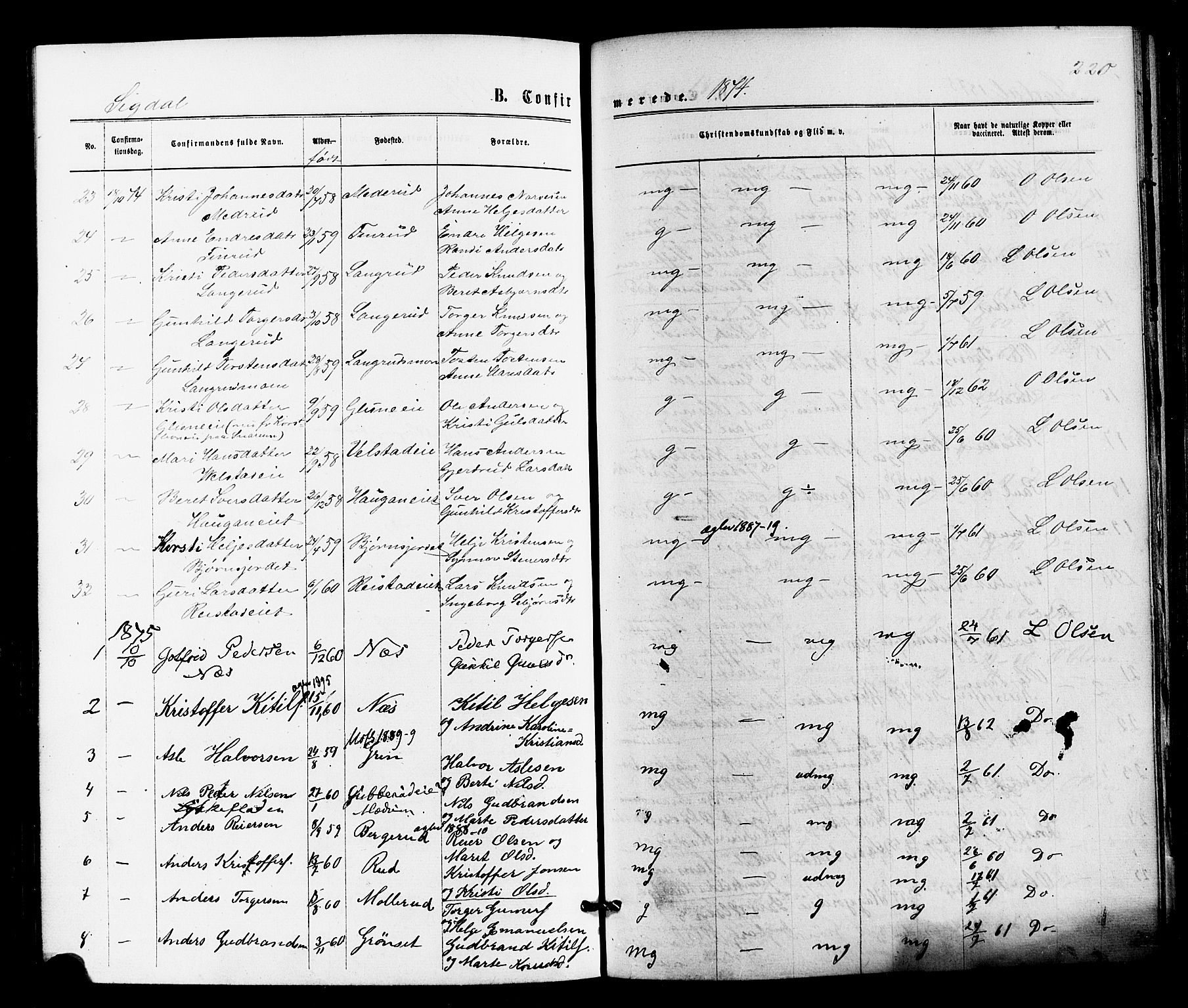 Sigdal kirkebøker, SAKO/A-245/F/Fa/L0010: Parish register (official) no. I 10 /1, 1872-1878, p. 220
