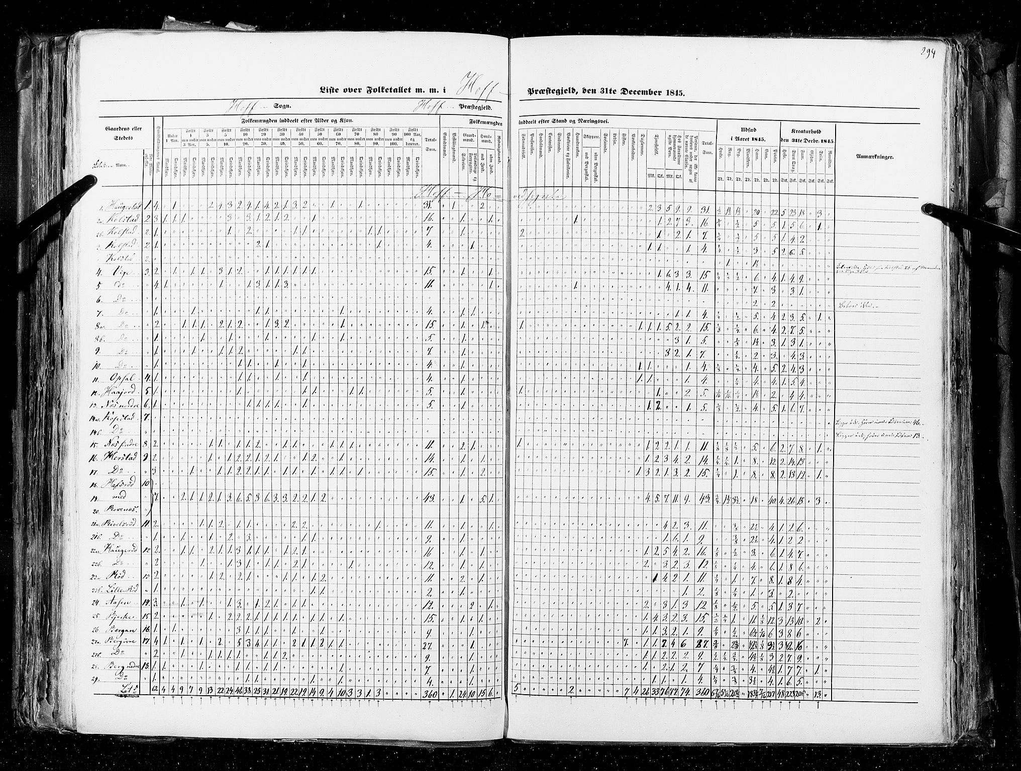 RA, Census 1845, vol. 4: Buskerud amt og Jarlsberg og Larvik amt, 1845, p. 294