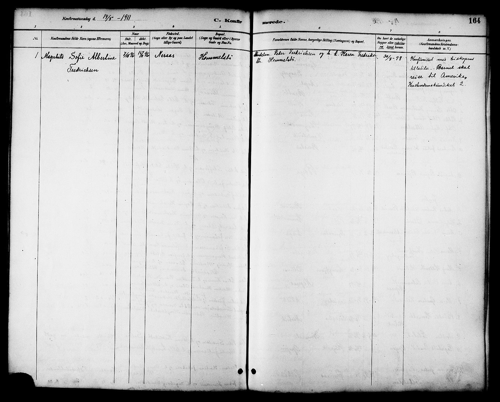 Ministerialprotokoller, klokkerbøker og fødselsregistre - Nordland, AV/SAT-A-1459/814/L0230: Parish register (copy) no. 814C03, 1884-1911, p. 164