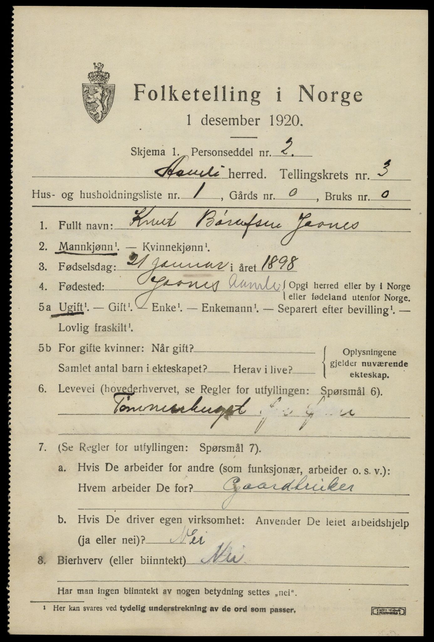 SAK, 1920 census for Åmli, 1920, p. 1253