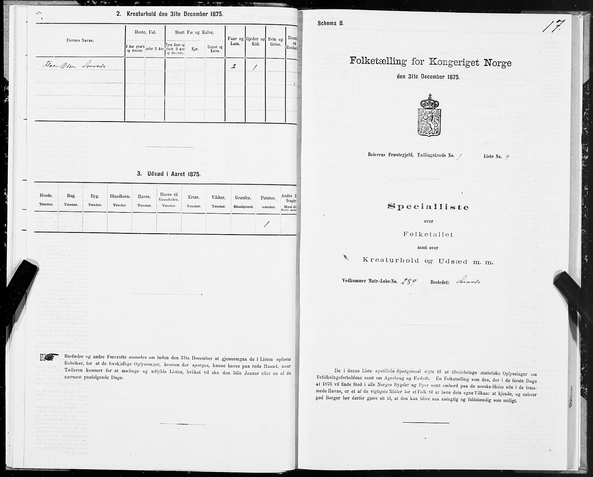 SAT, 1875 census for 1839P Beiarn, 1875, p. 1017