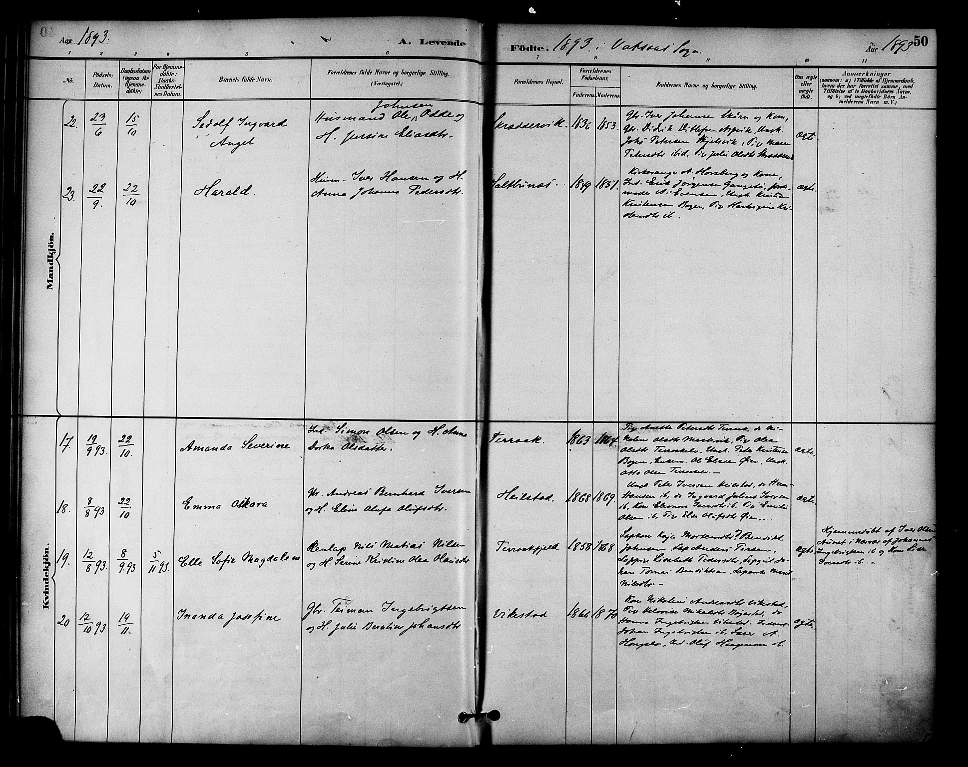 Ministerialprotokoller, klokkerbøker og fødselsregistre - Nordland, AV/SAT-A-1459/810/L0150: Parish register (official) no. 810A10 /1, 1884-1895, p. 50