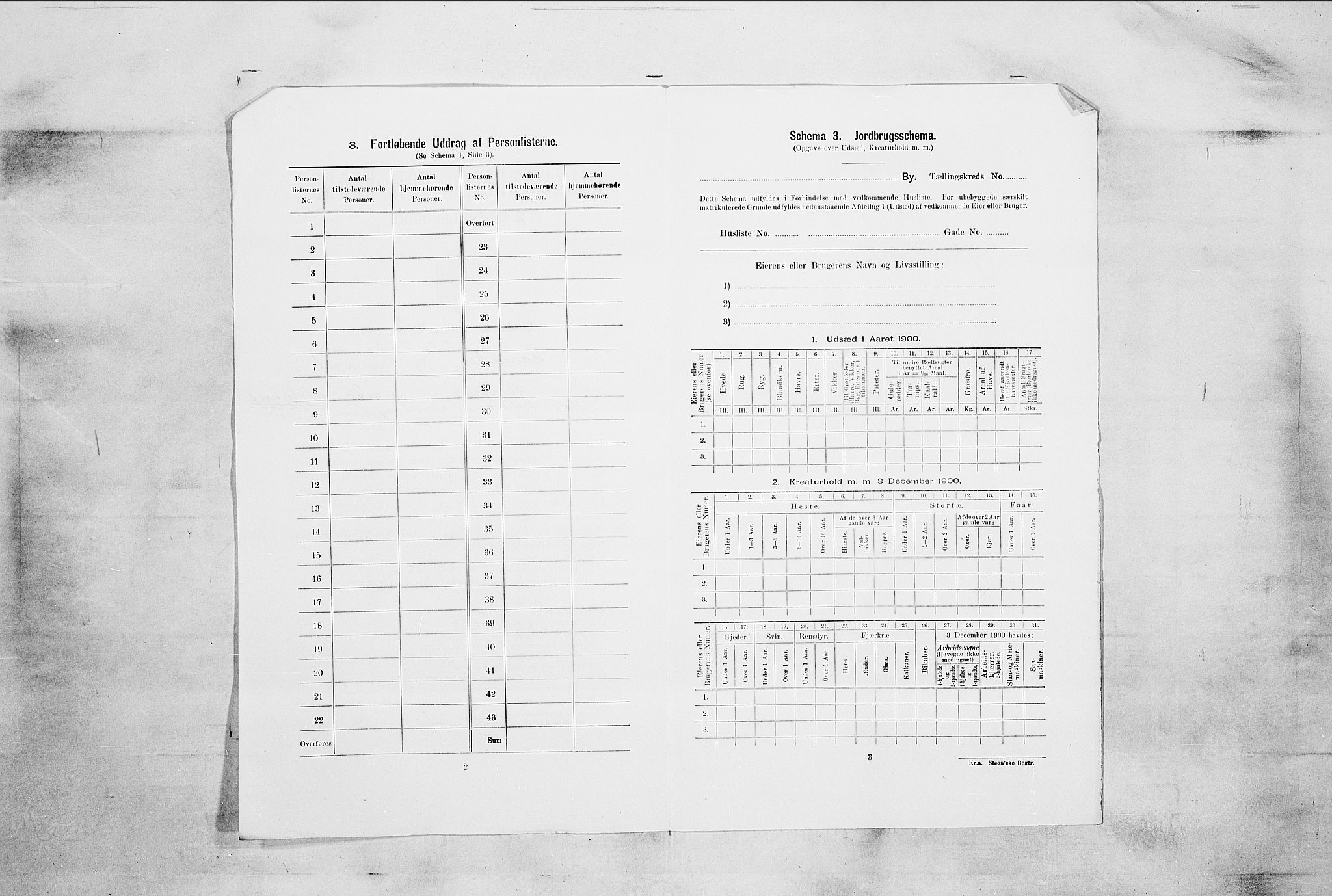 RA, 1900 census for Larvik, 1900, p. 105