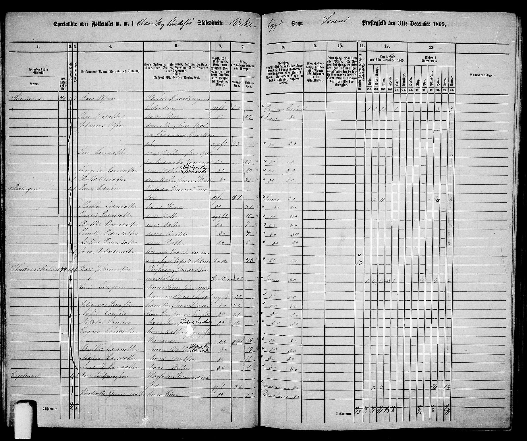 RA, 1865 census for Sveio, 1865, p. 31