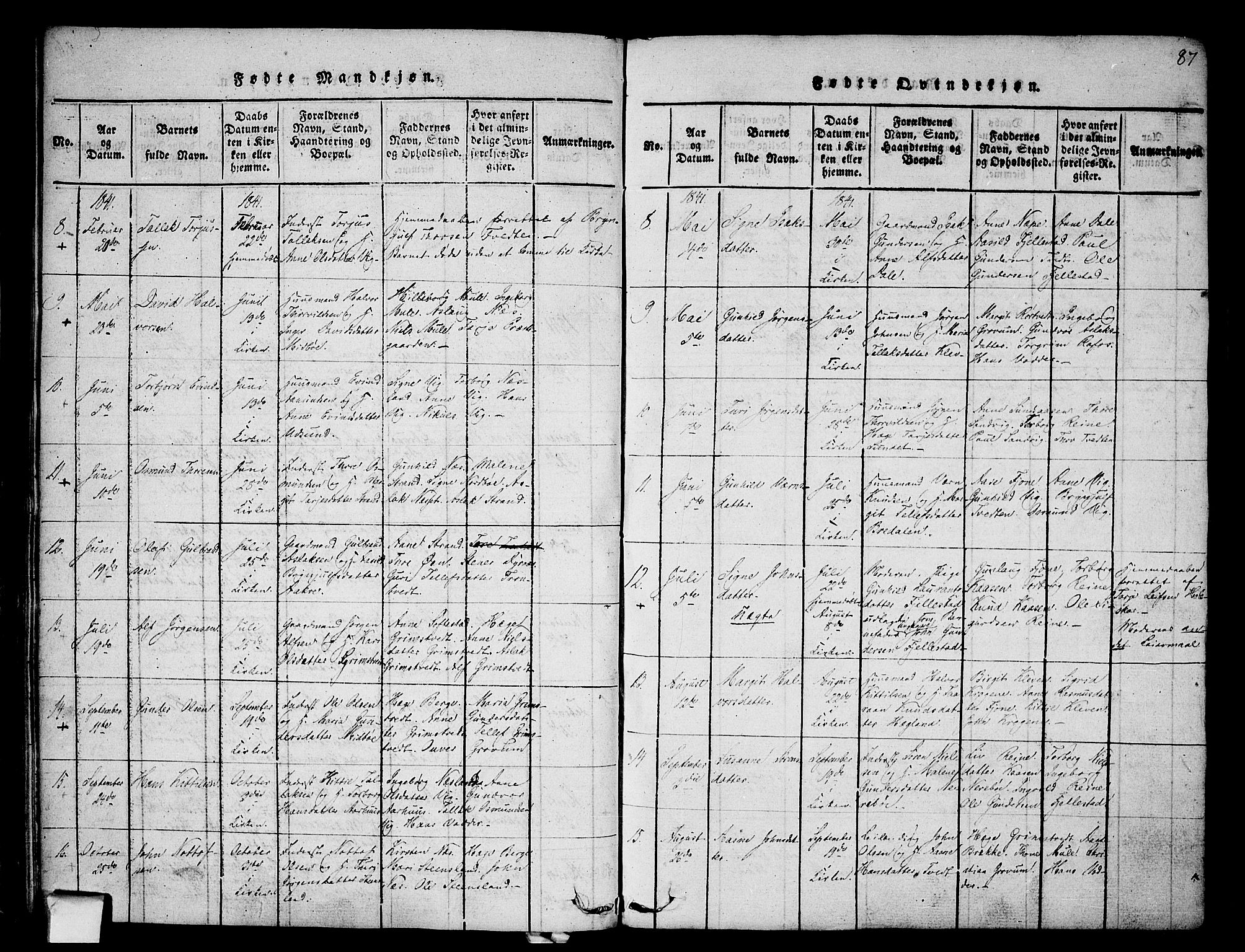 Nissedal kirkebøker, SAKO/A-288/F/Fa/L0002: Parish register (official) no. I 2, 1814-1845, p. 87