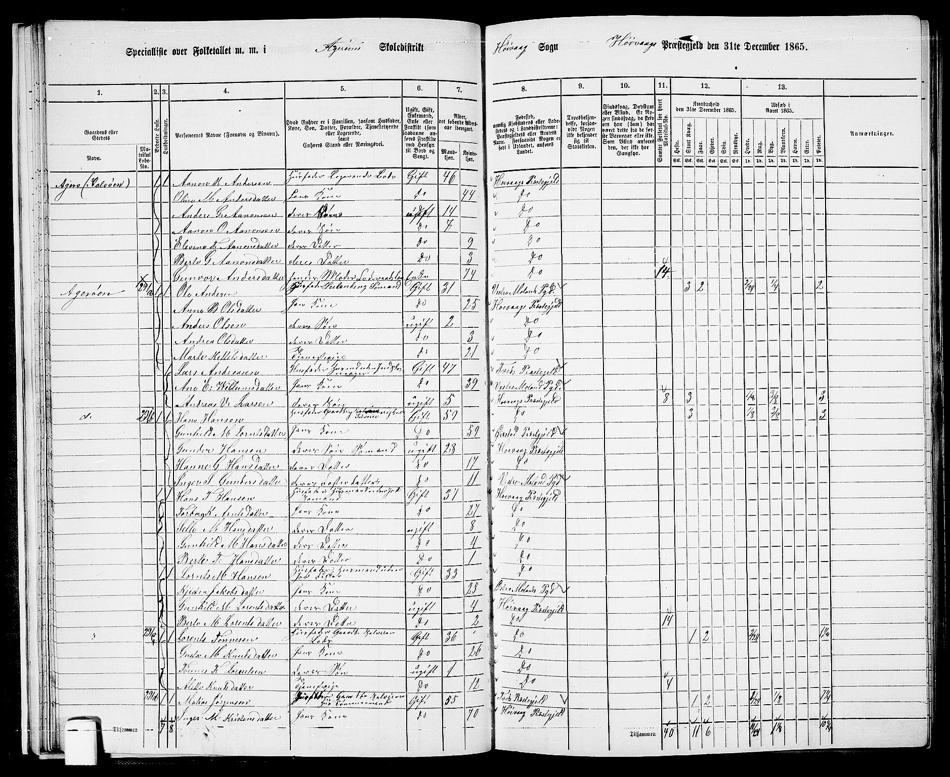 RA, 1865 census for Høvåg, 1865, p. 31