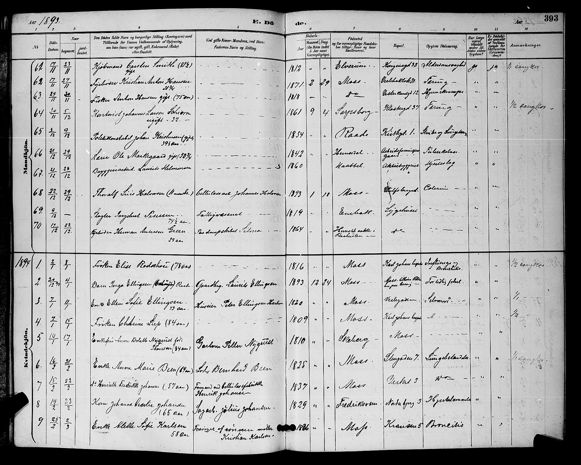 Moss prestekontor Kirkebøker, AV/SAO-A-2003/G/Ga/L0006: Parish register (copy) no. I 6, 1889-1900, p. 393