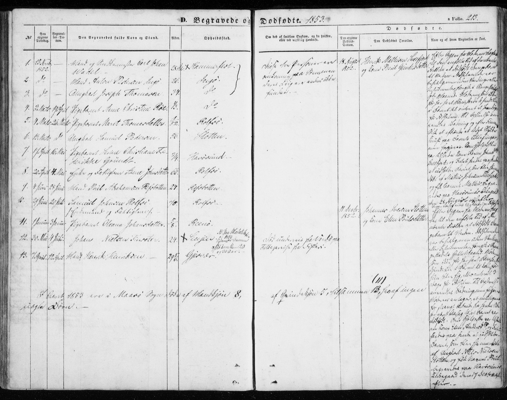 Måsøy sokneprestkontor, SATØ/S-1348/H/Ha/L0002kirke: Parish register (official) no. 2, 1852-1865, p. 213