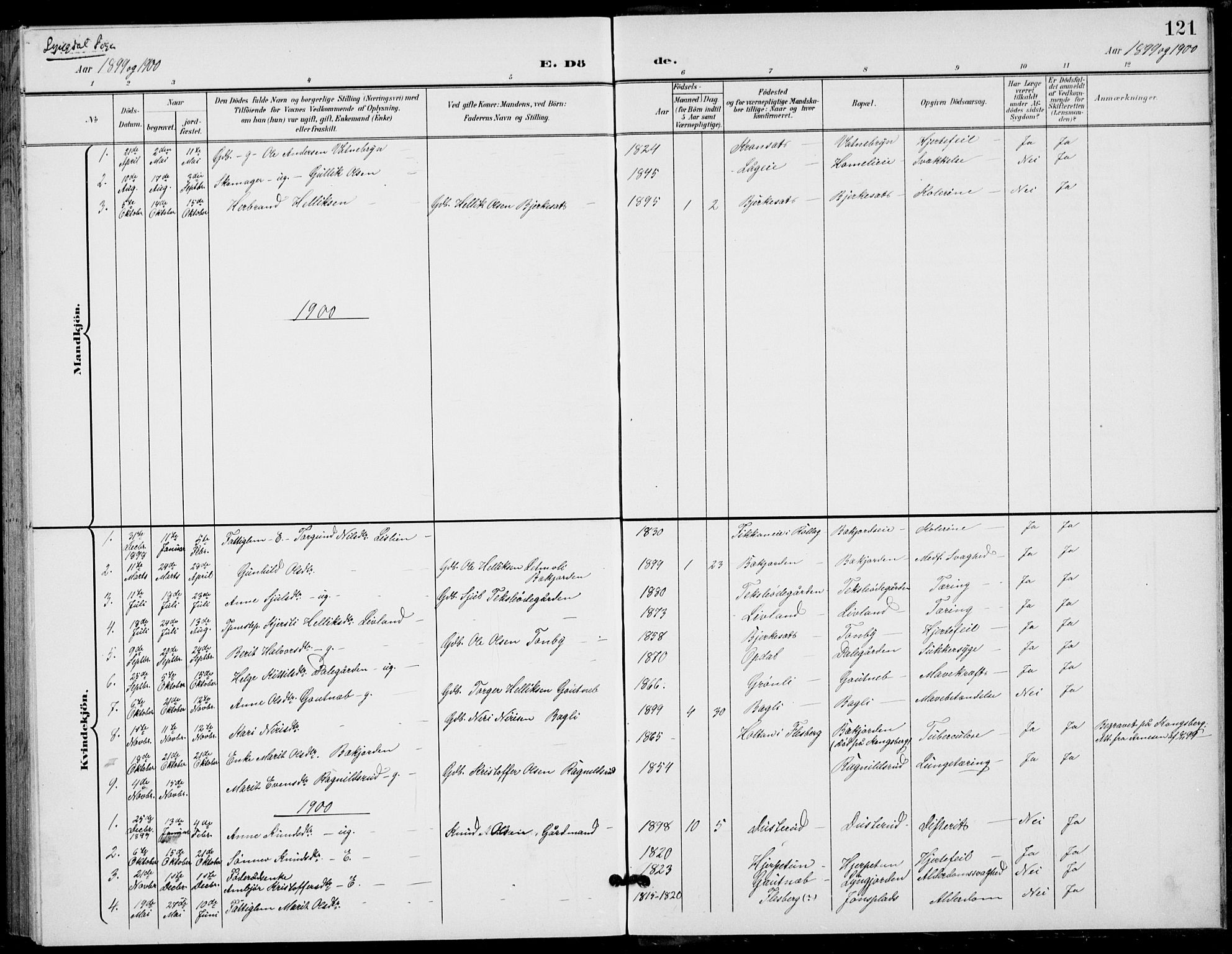 Flesberg kirkebøker, AV/SAKO-A-18/G/Ga/L0005: Parish register (copy) no. I 5, 1899-1908, p. 121